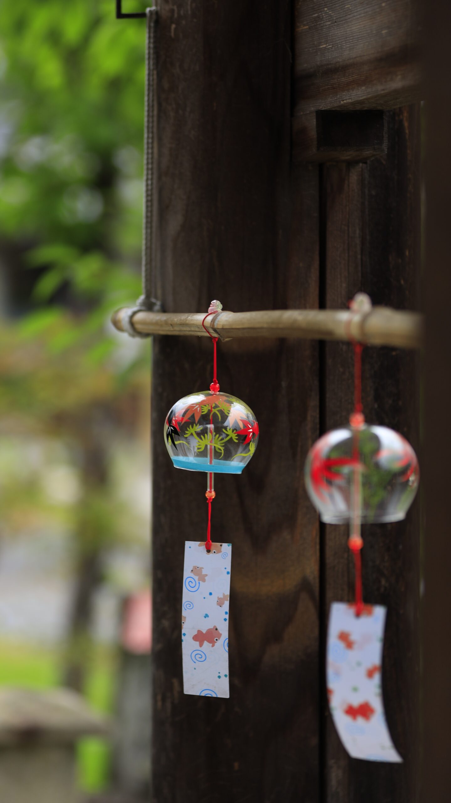 善長寺の境内に飾られた可愛らしい金魚デザインの風鈴
