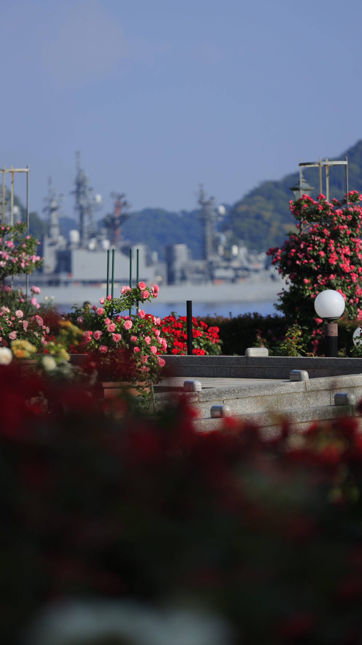 ヴェルニー公園で少し離れた場所からバラの花壇と遠くの軍艦を写した横須賀の風景写真
