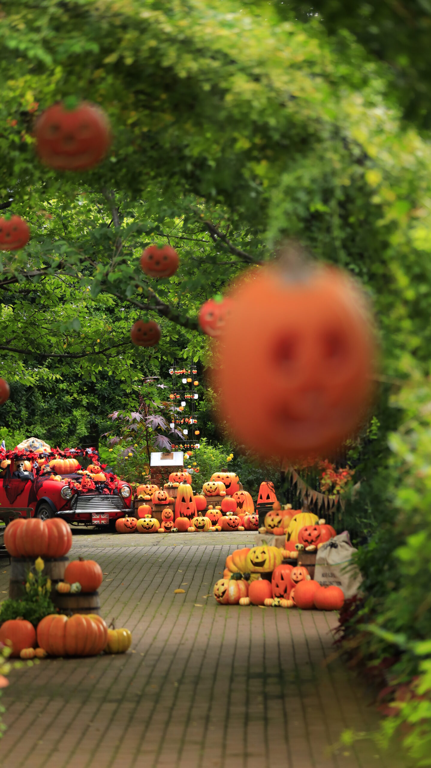 Taking a photo of the Halloween display inside the arch on the main path at the Yokohama English Garden