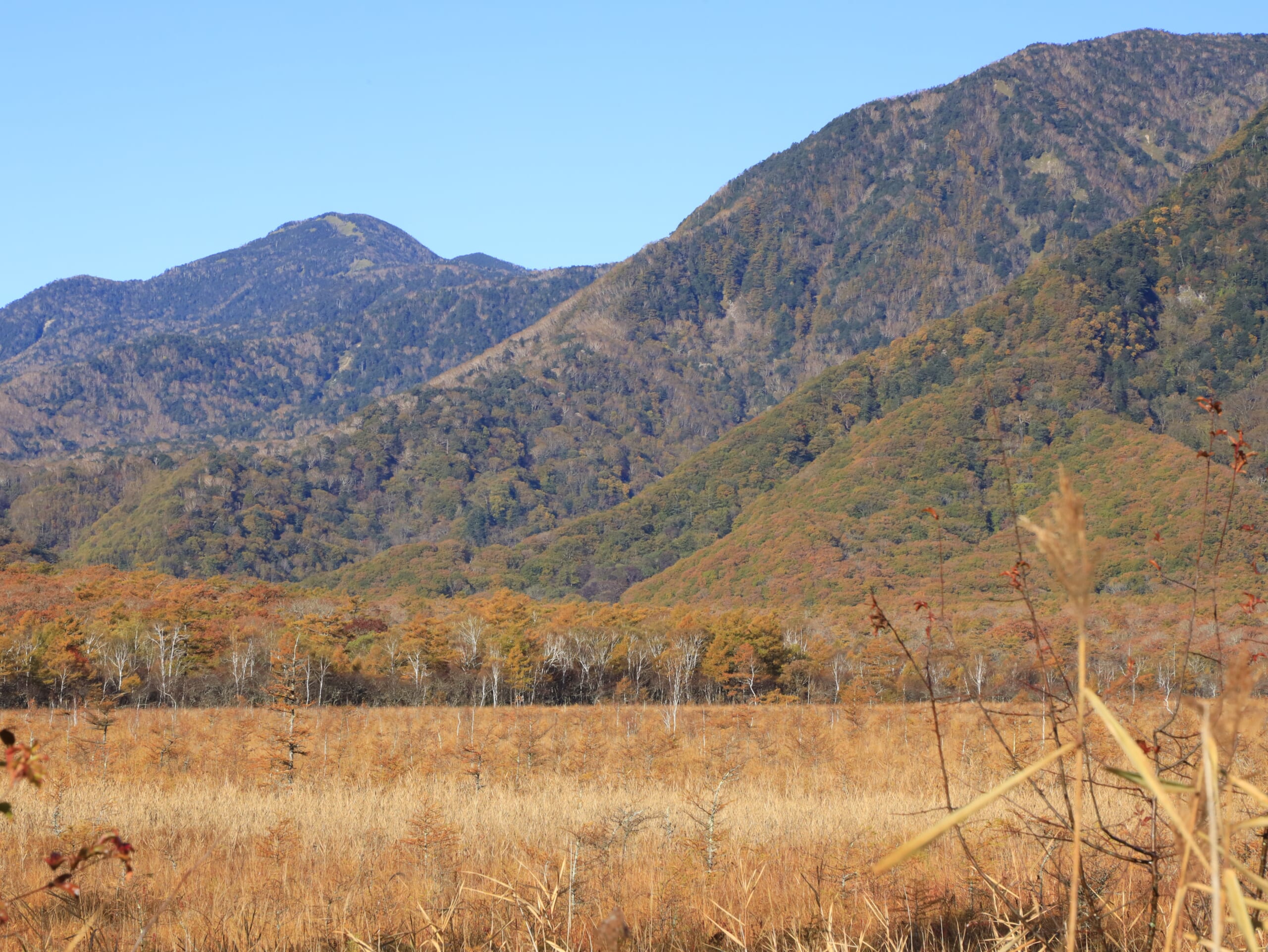 奥日光の戦場ヶ原で、広大な湿原と遠くに連なる山々を、横構図で広々と捉えた秋の高原風景