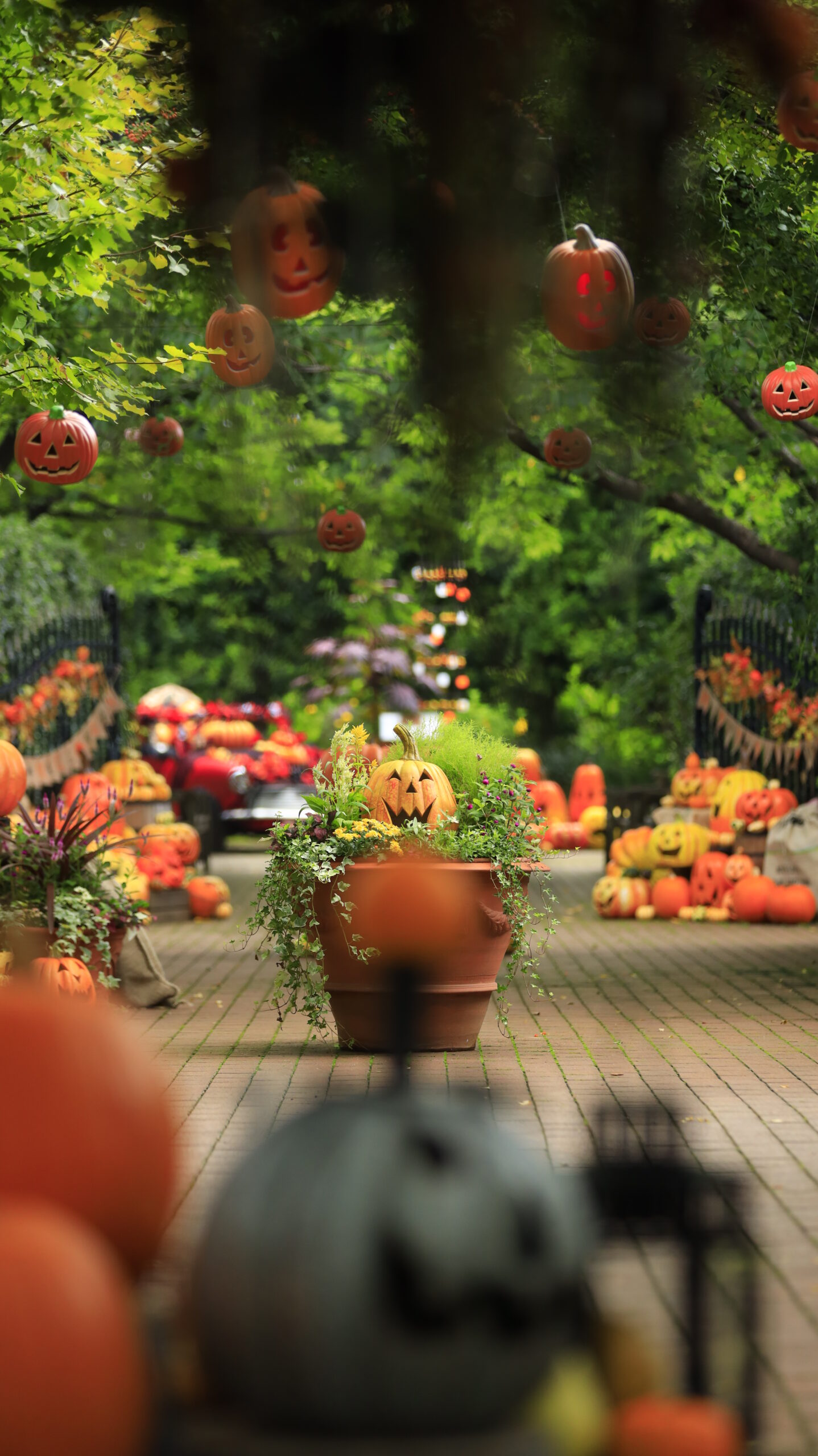 At the Yokohama English Garden, I took a photo of the Halloween pumpkin display along the main path with foreground blur.