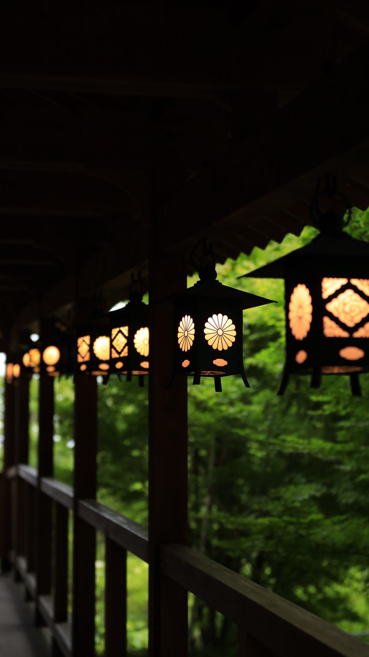 川越氷川神社で奥まで並ぶランタンの手前から二つ目にピントを合わせた風景