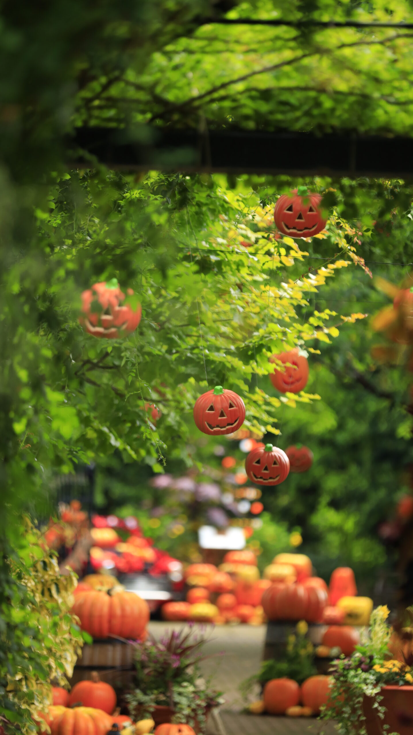 At the Yokohama English Garden, I took a photo of the cheerful Halloween display on the left side.