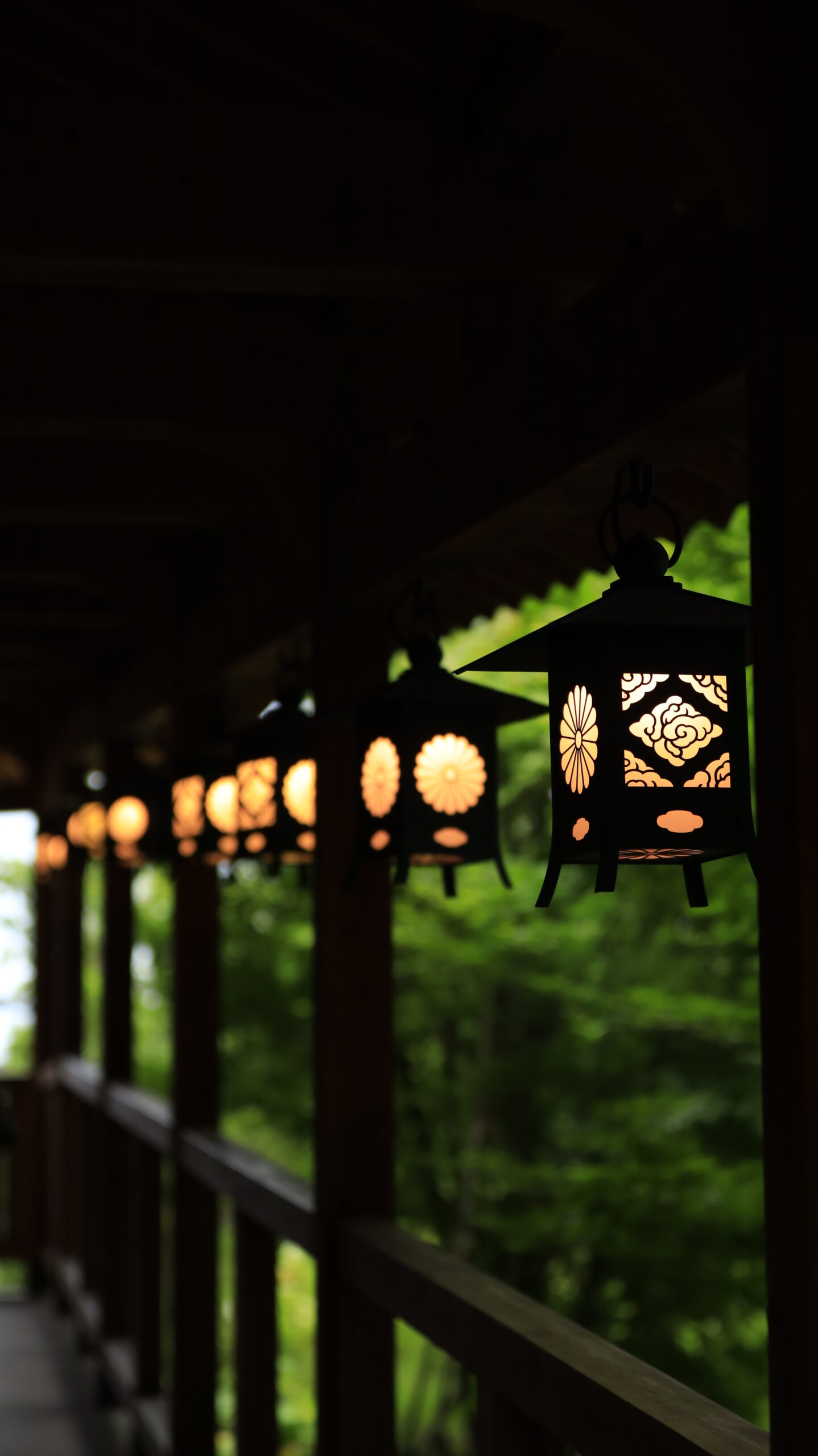 川越氷川神社で規則正しく並ぶランタンの一番手前にピントを合わせた風景