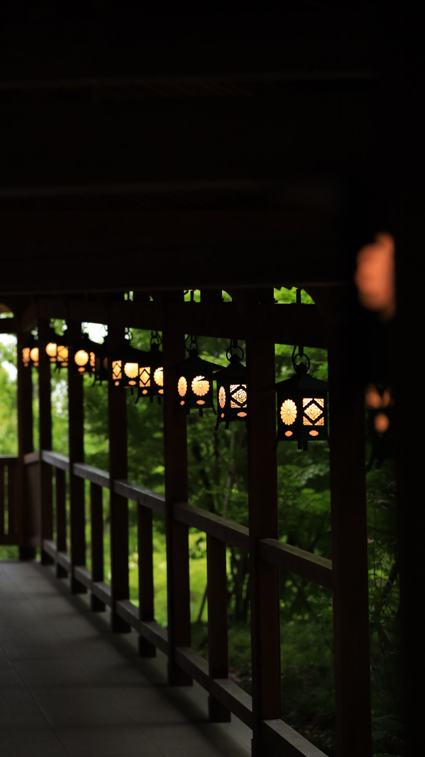 川越氷川神社でたくさんのランタンが奥へ続く様子を少し離れた位置から撮影
