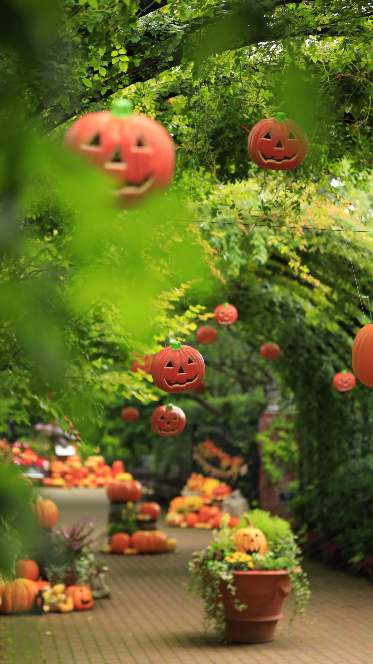 At the Yokohama English Garden, I took a photo of the Halloween display along the main path, including the pot in the foreground.