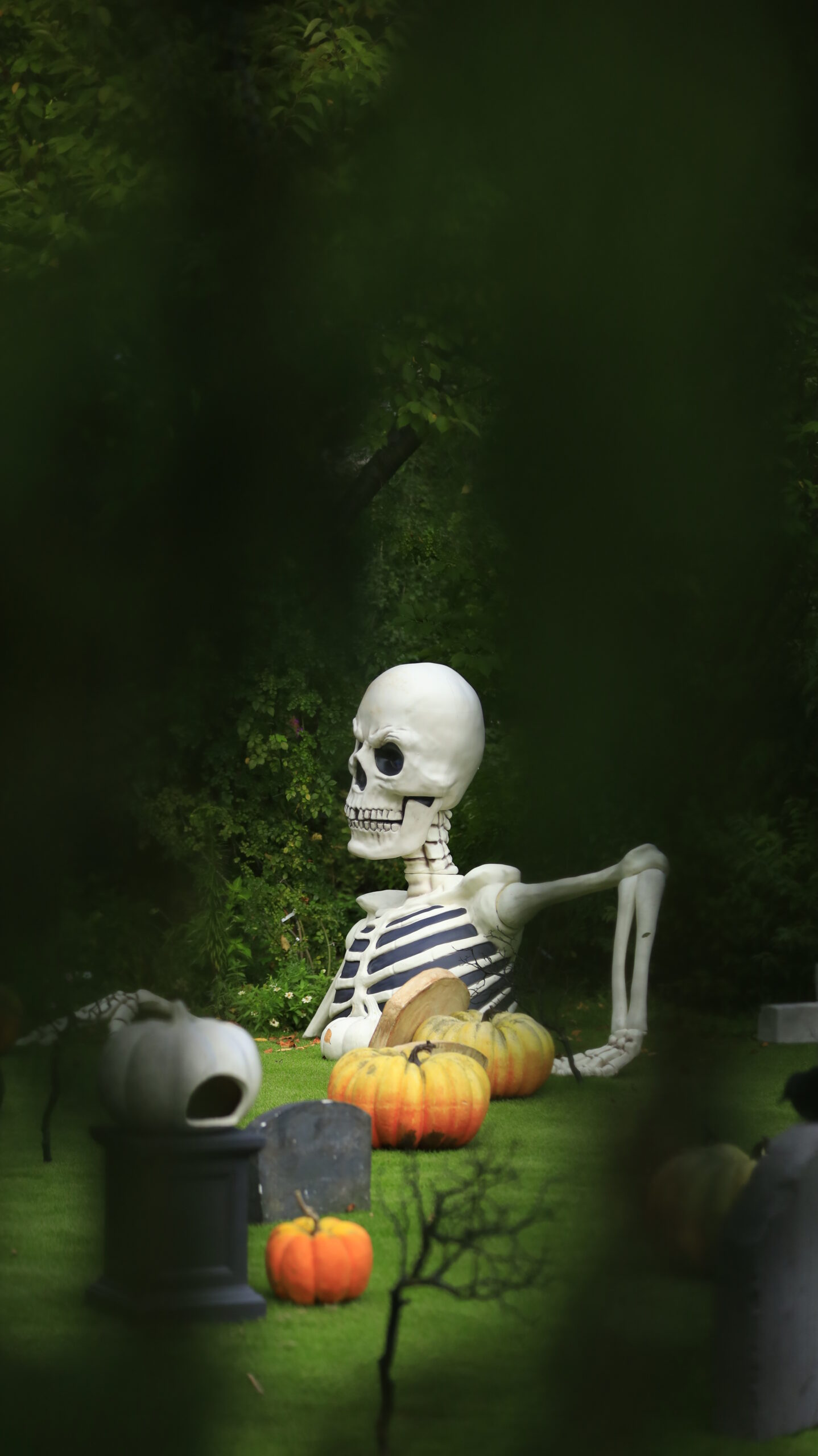 Taking photos of the Halloween displays through the trees at the Yokohama English Garden