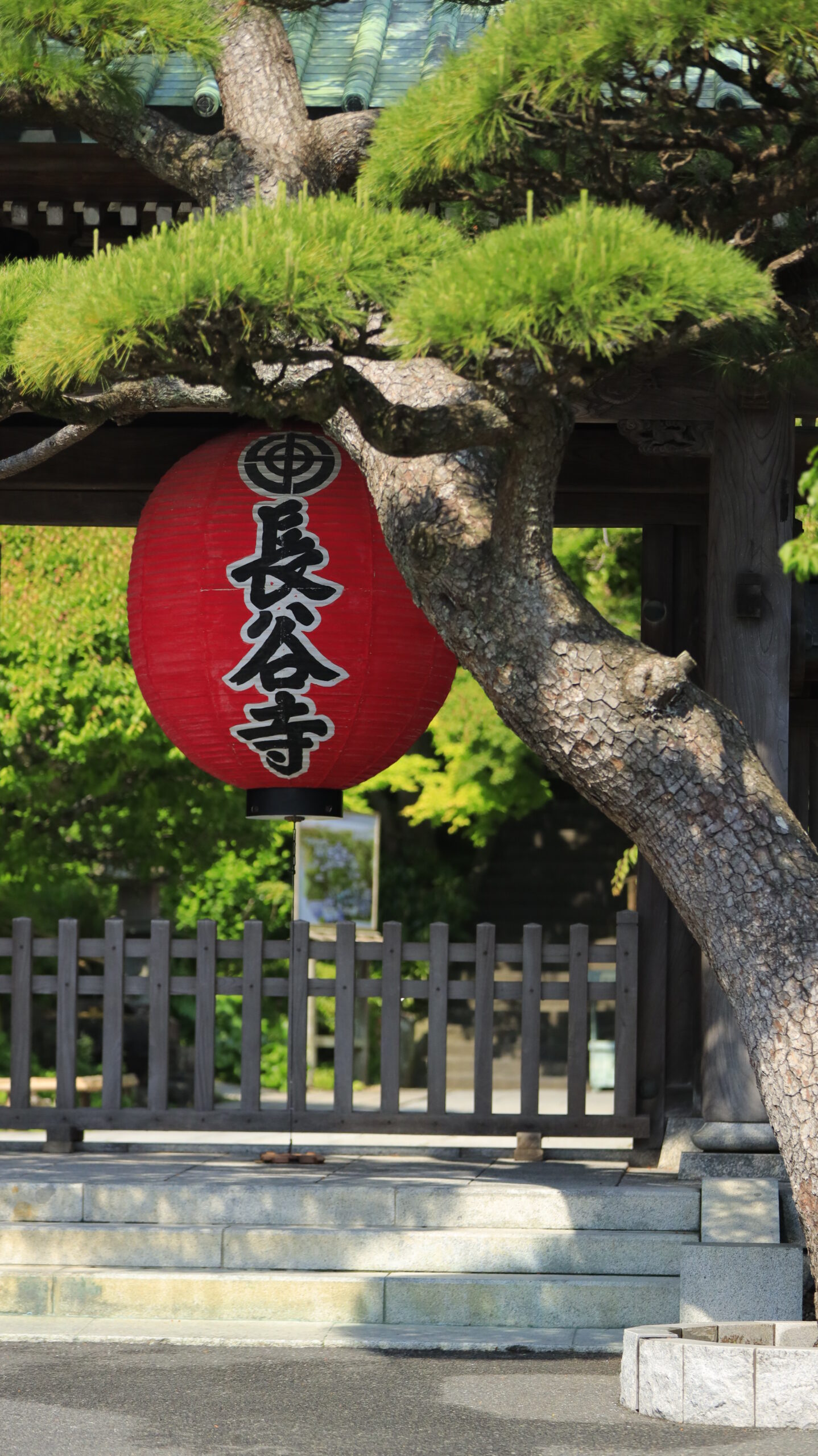 長谷寺の入口に飾られた提灯を正面から写した鎌倉観光の風景写真