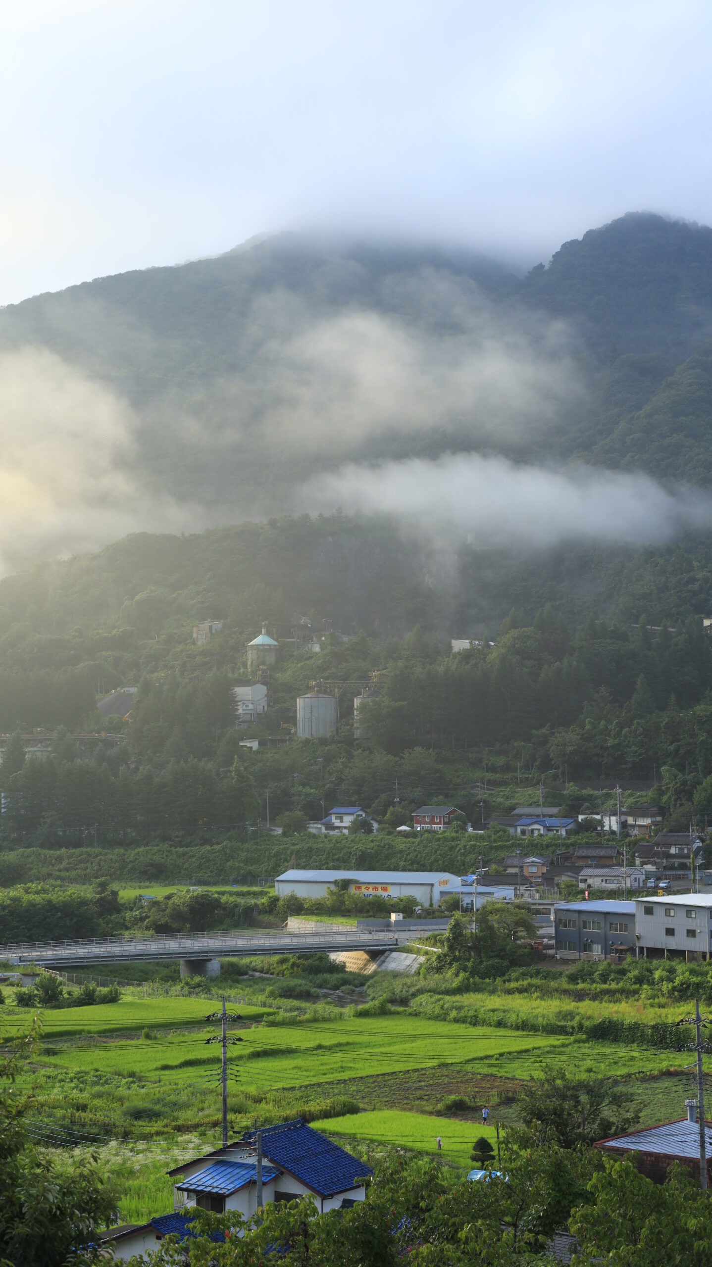 中央高速・石川PA下りで早朝の山と田んぼを撮影した静かな田園風景