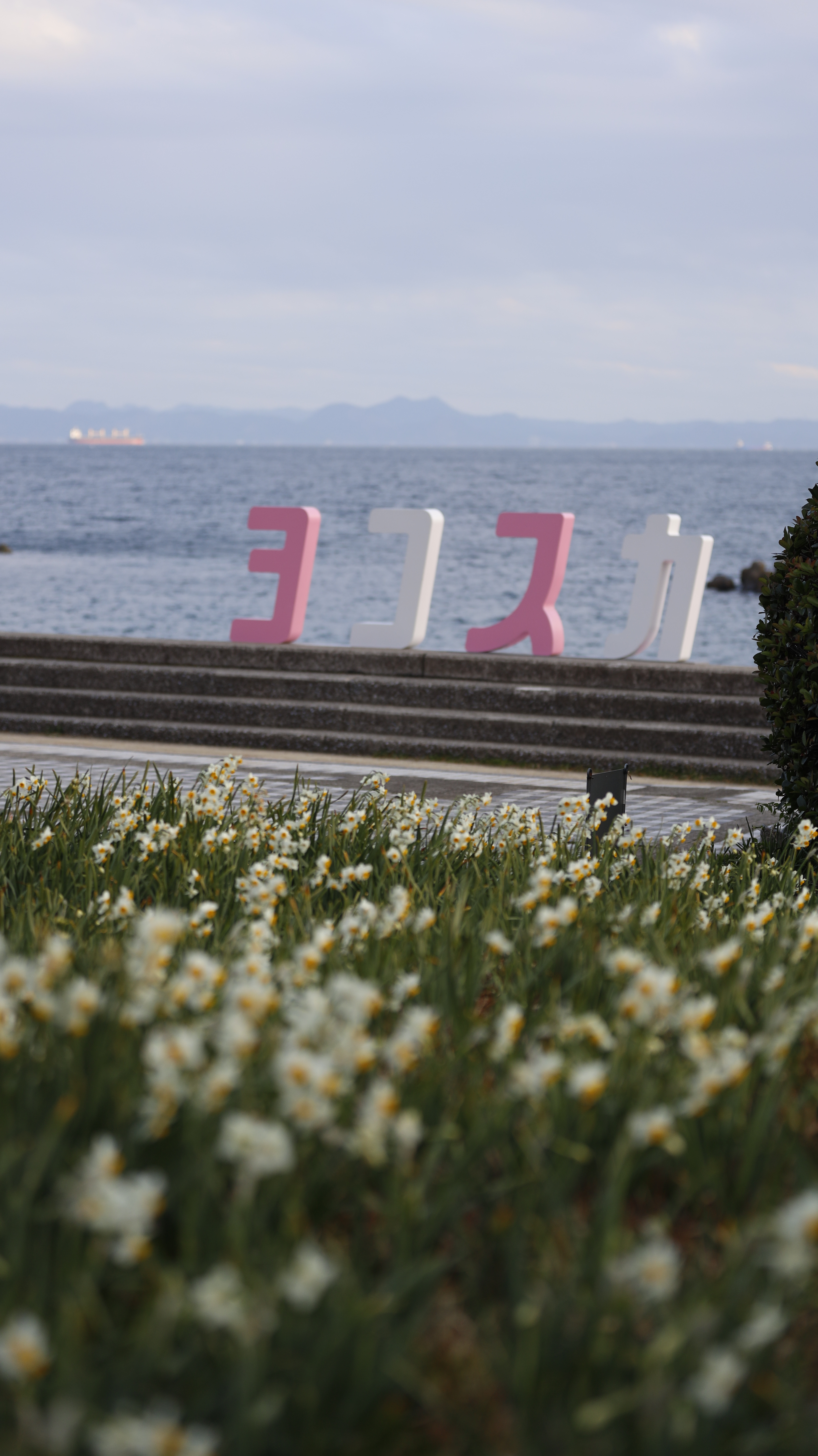 野比海岸にて、「ヨコスカのオブジェに焦点を合わせた一枚」と感じた写真です。