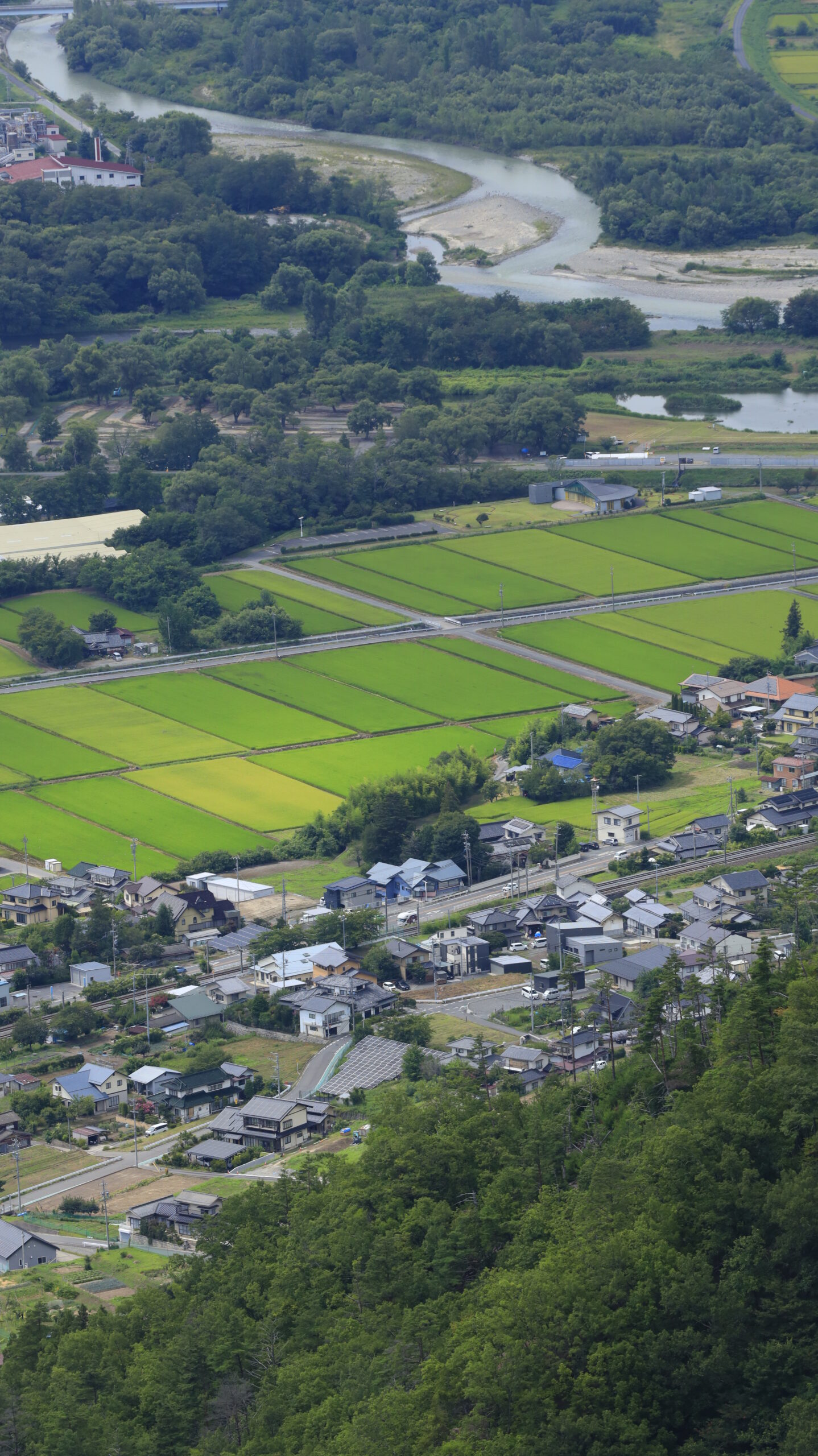 長峰山展望台から望遠レンズを使って眼下に広がる田んぼを撮影