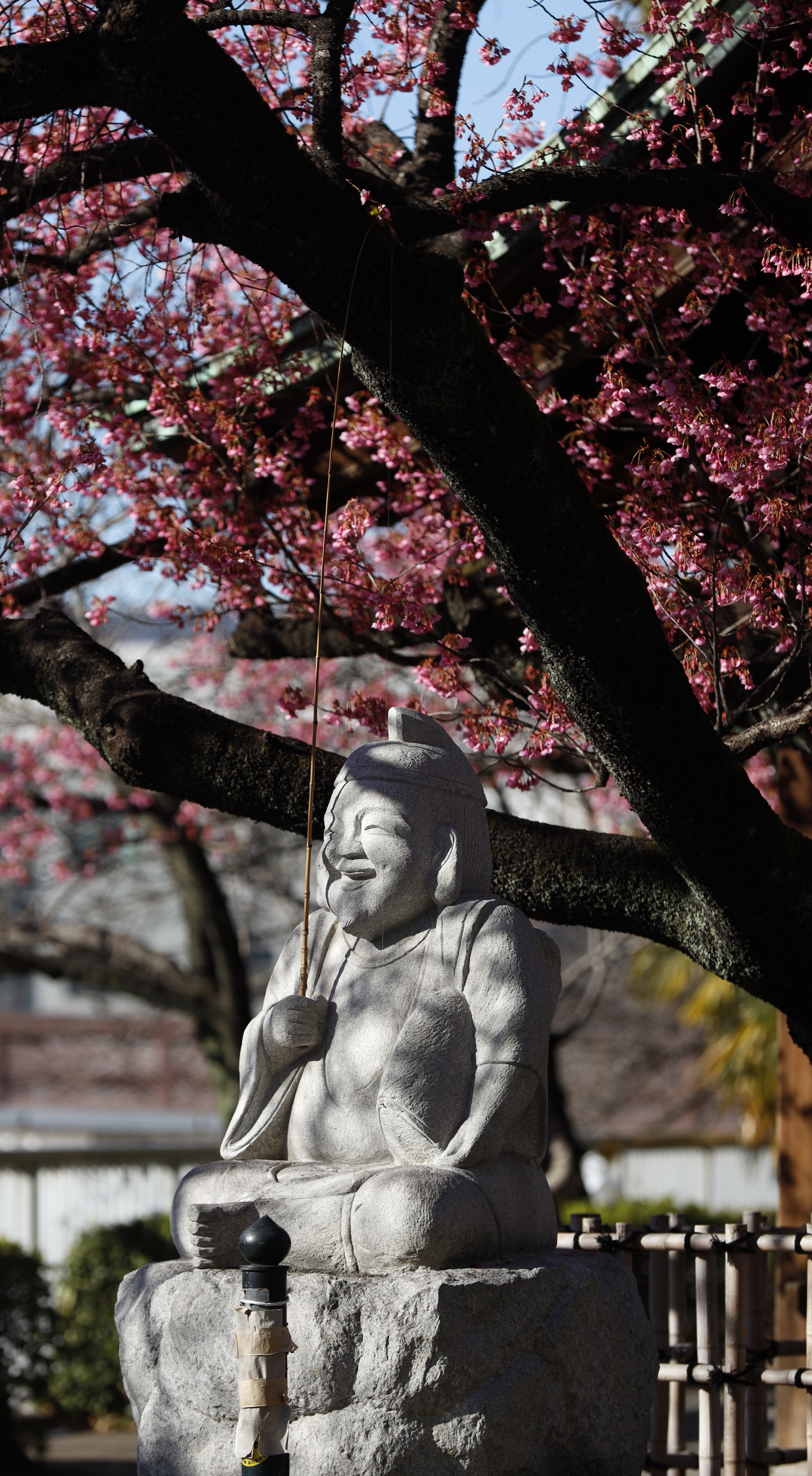 荏原神社にて、「寒緋桜とえびす様が彩る春の神社」と感じた写真です。