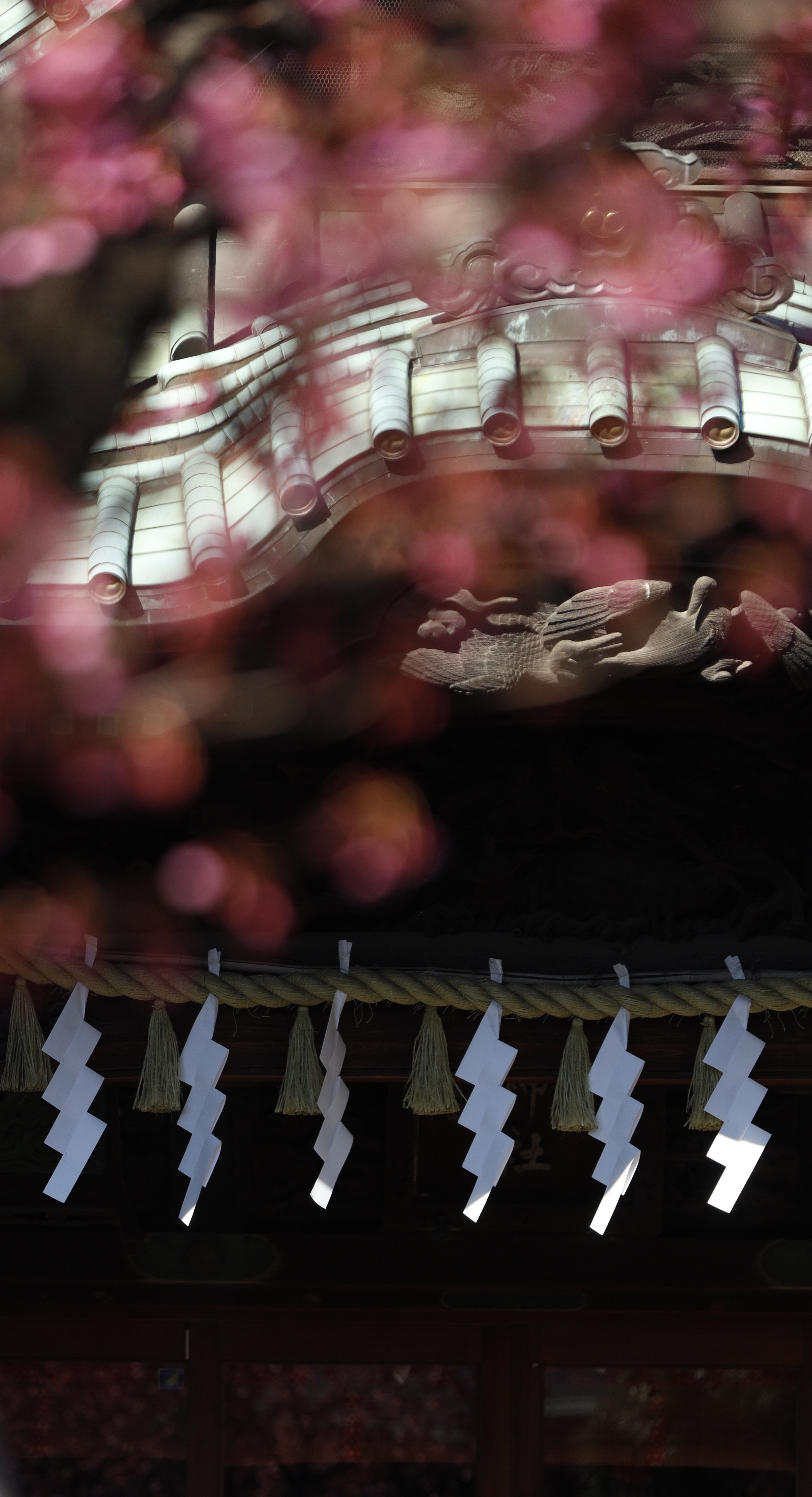 荏原神社にて、「寒緋桜の枝が額縁のように包む神社の風景」と感じた写真です。