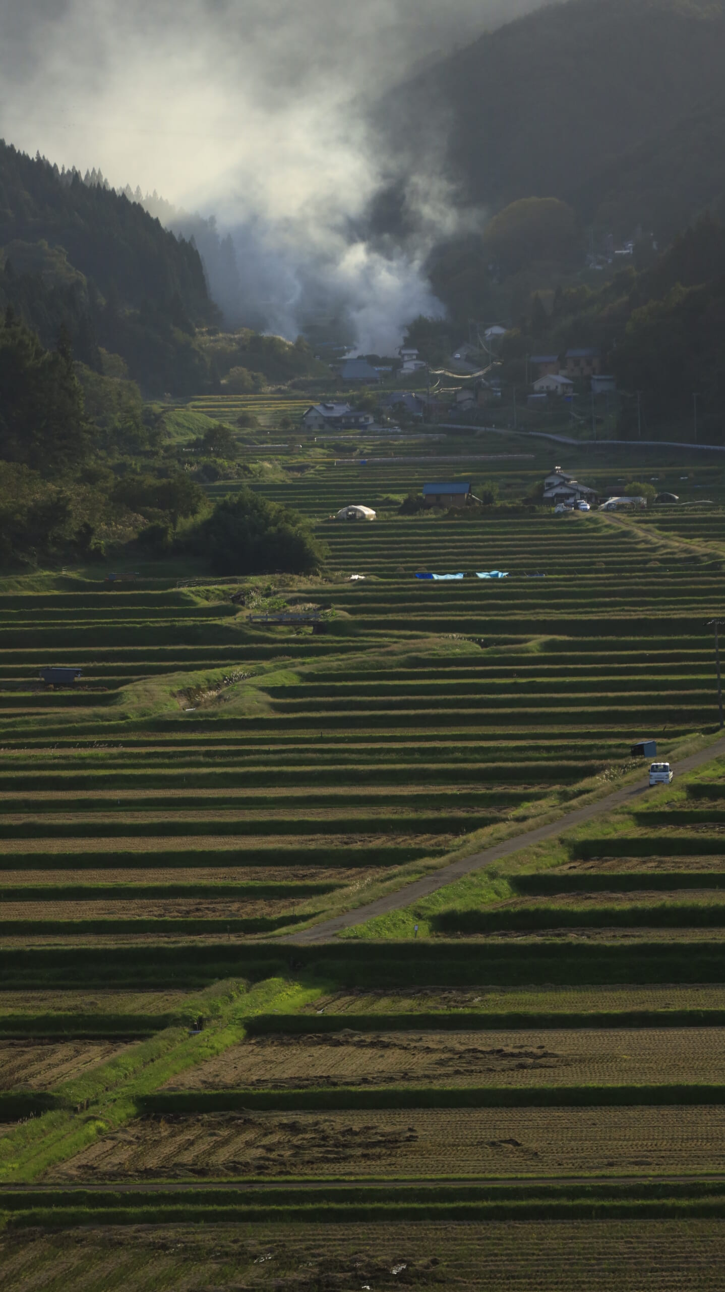 長野県内で望遠レンズを使い夕暮れの逆光で撮影した田んぼの風景
