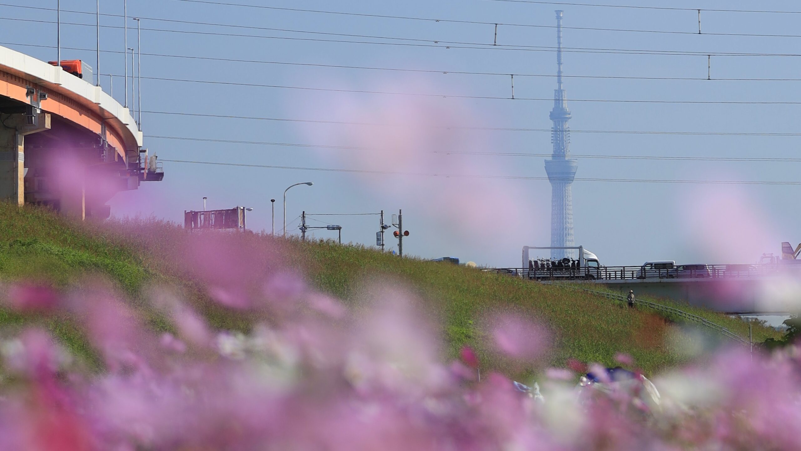 足立区都市農業公園