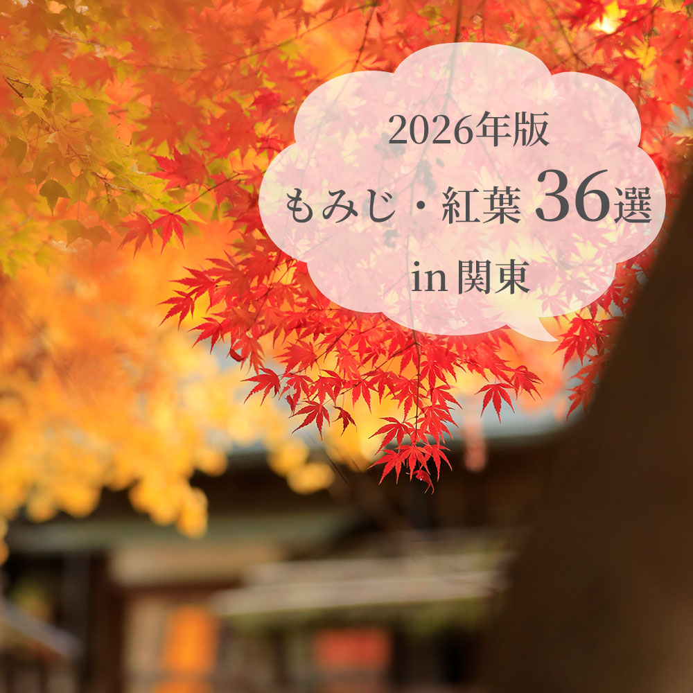 もみじ36選
