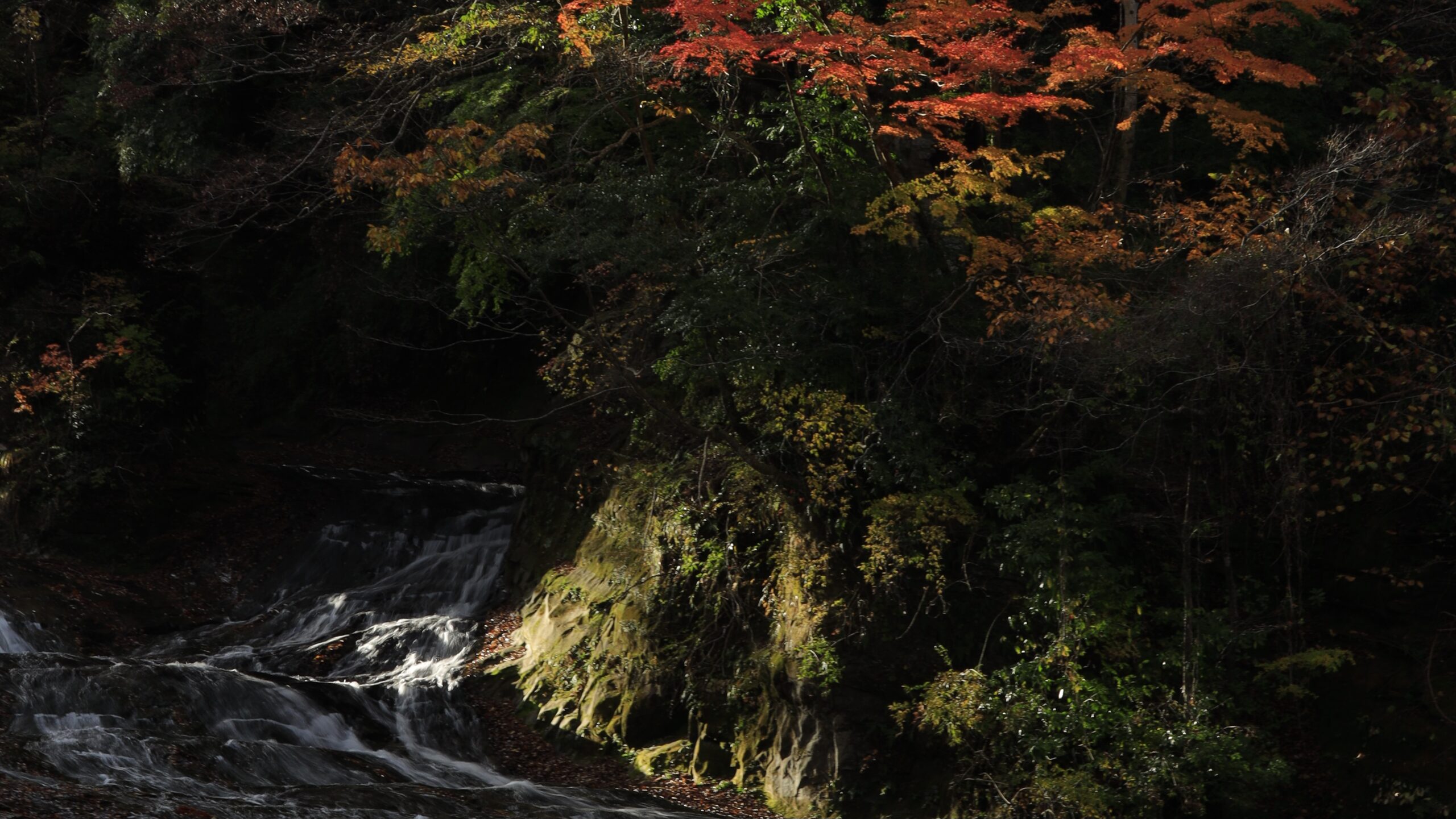 粟又の滝(養老渓谷)