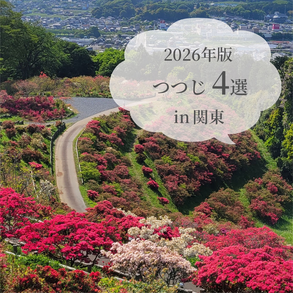 関東つつじ4選