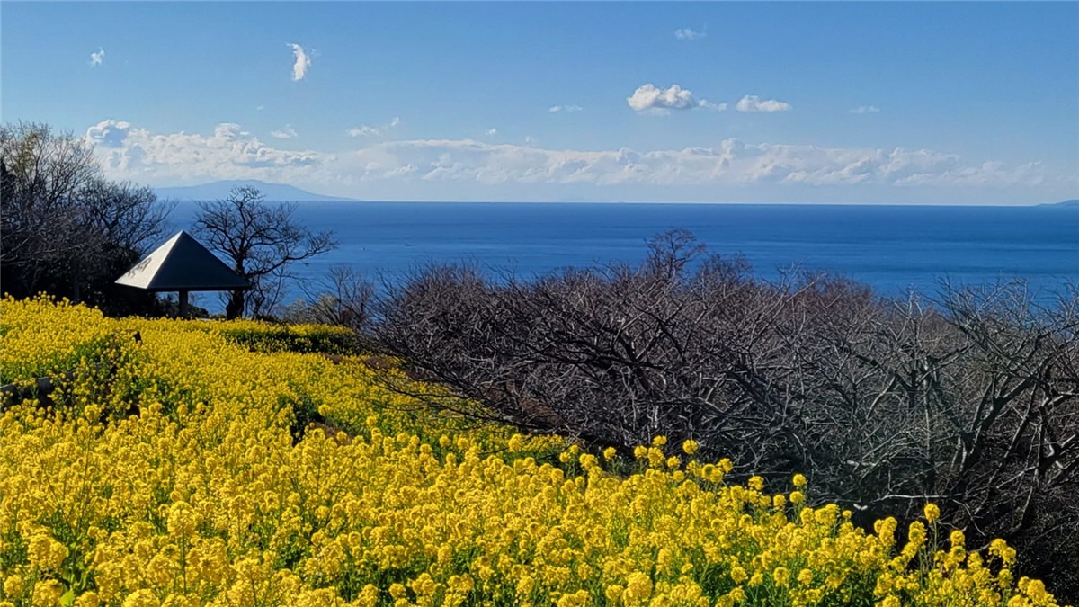 吾妻山公園の絶景