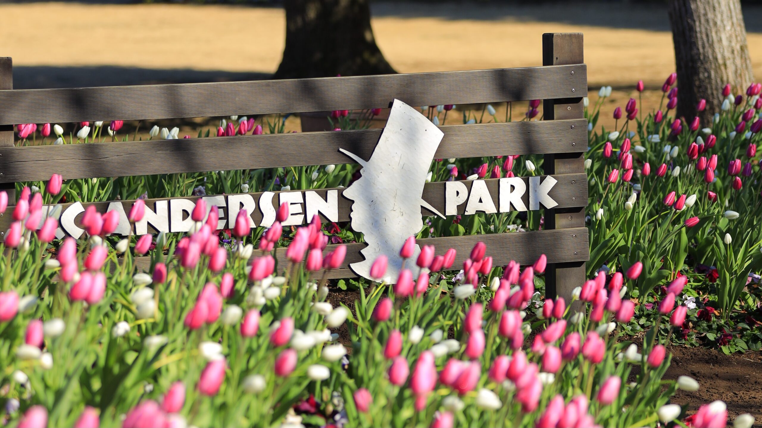 ふなばしアンデルセン公園