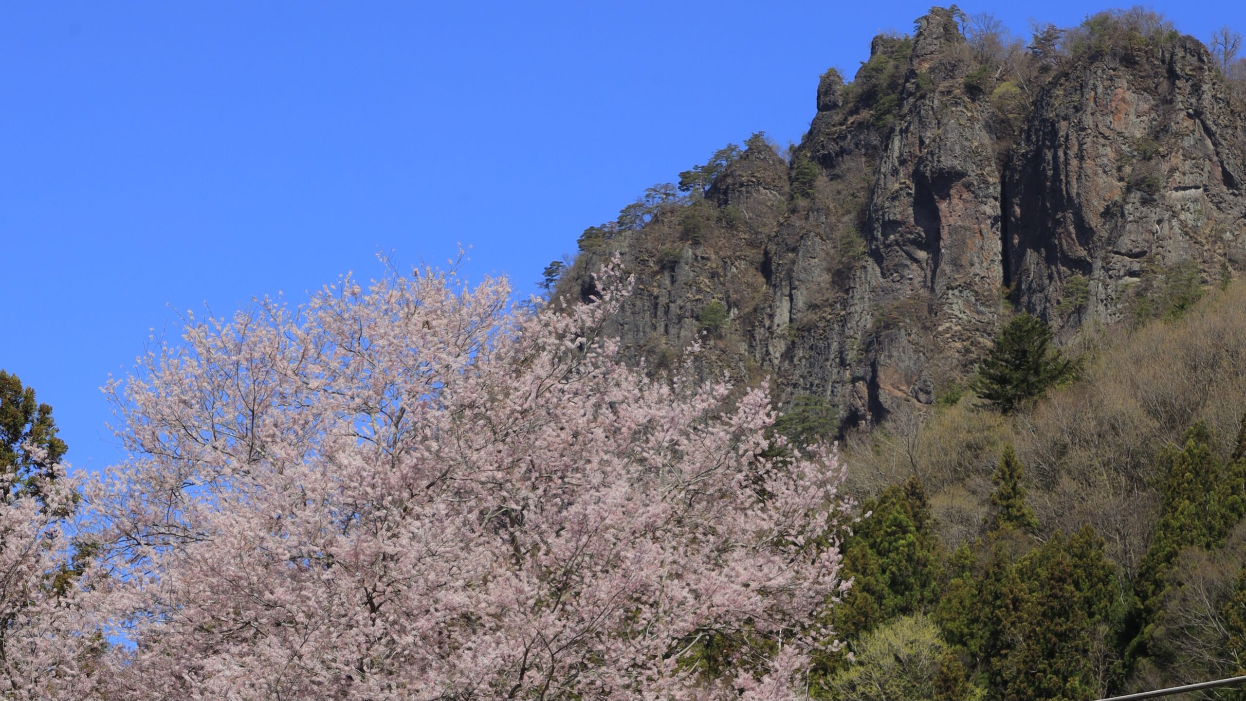 郷原駅とは 桜と山とローカル線が重なる風景スポット