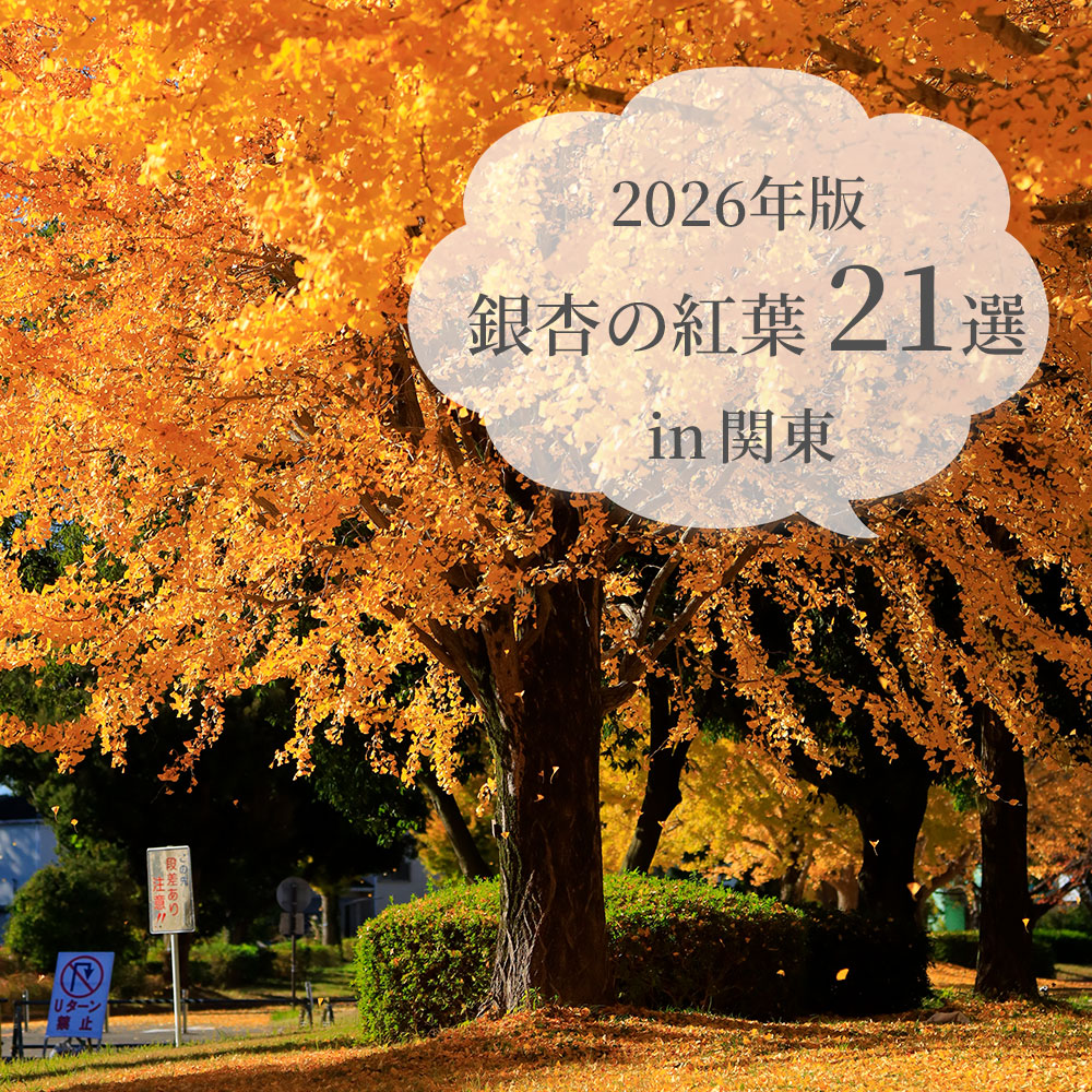 関東銀杏紅葉21選