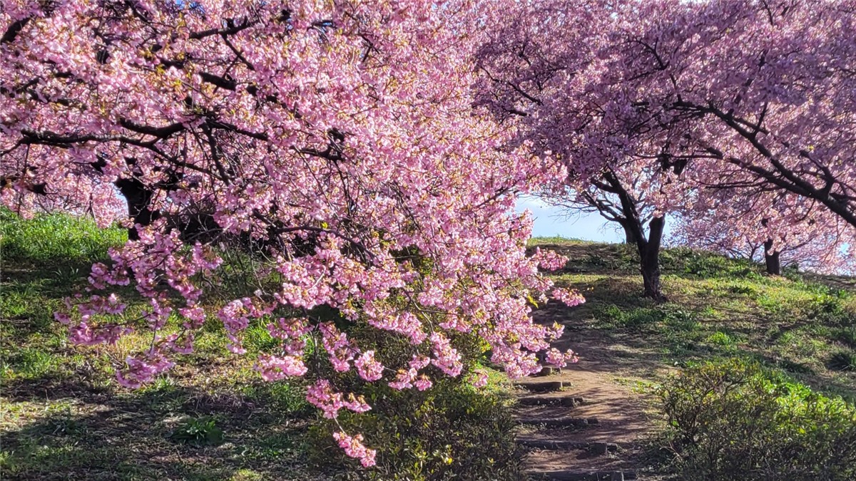 榛の森公園