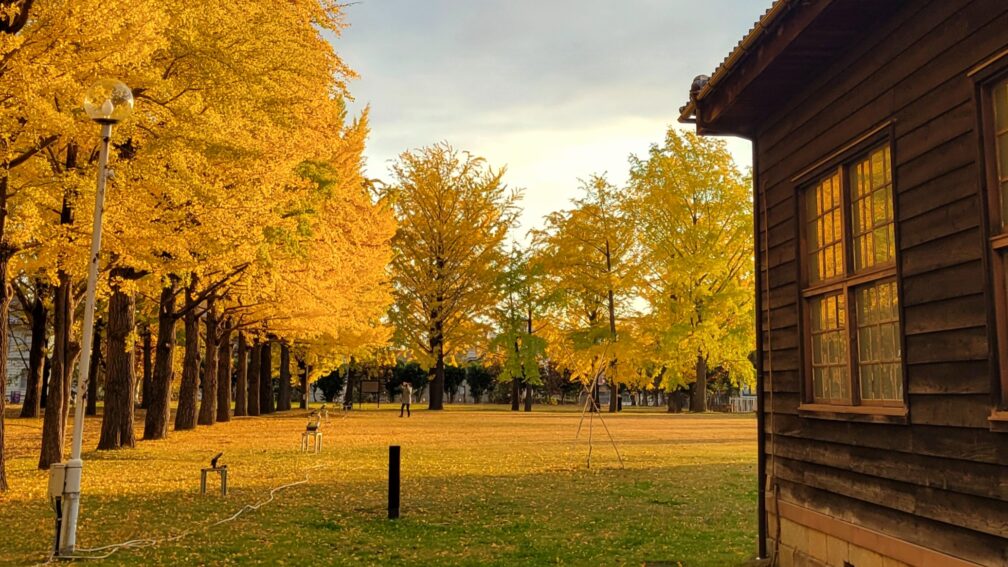 茨城県立歴史館の絶景