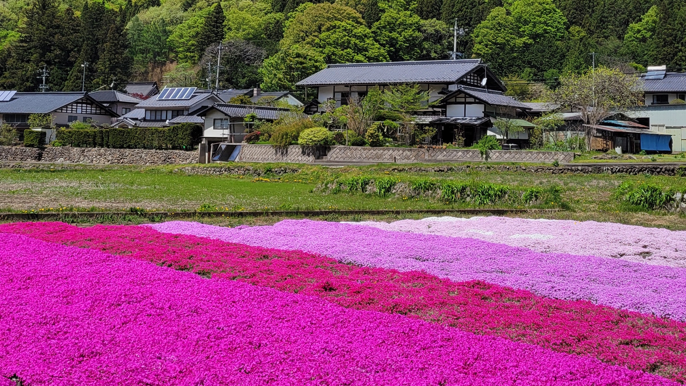 長野県