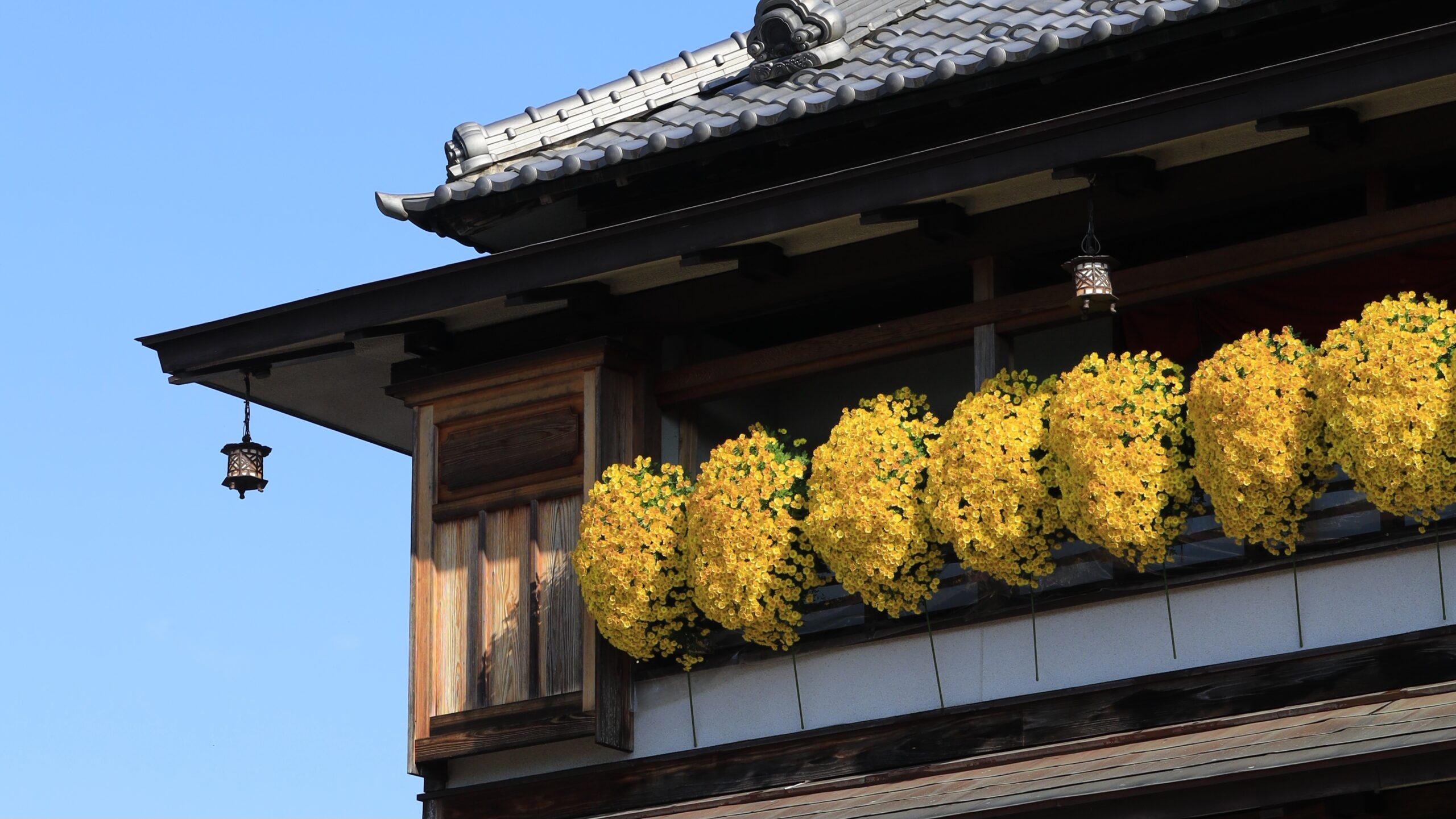 かさま歴史交流館井筒屋