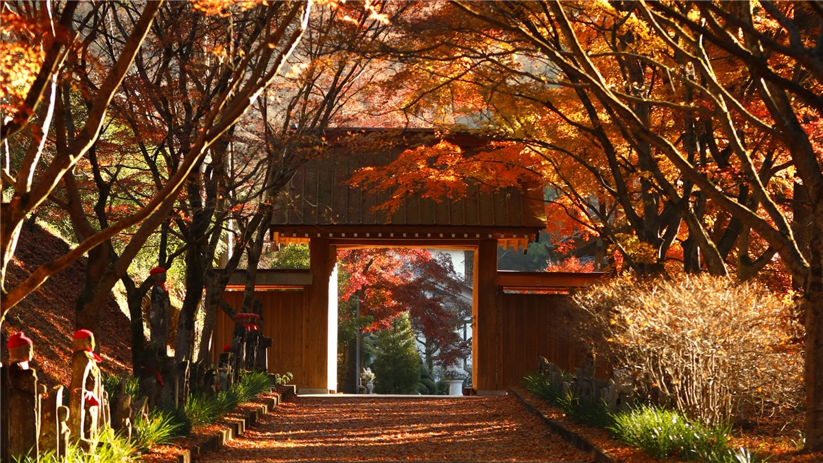 金蔵院の絶景
