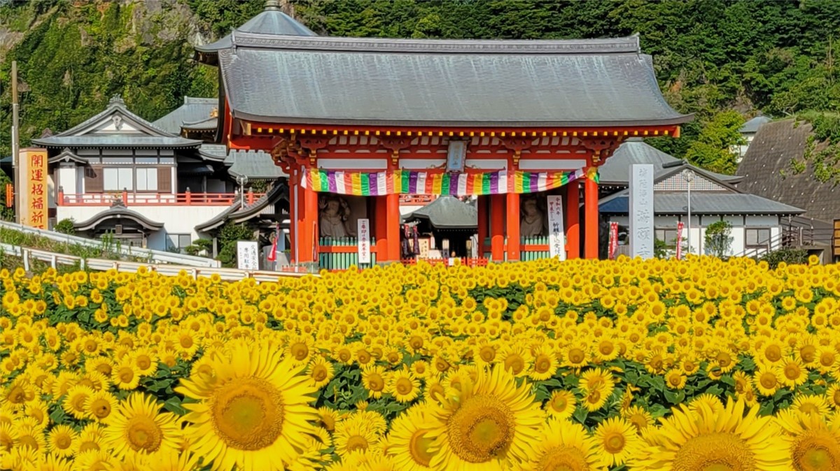 満願寺の絶景