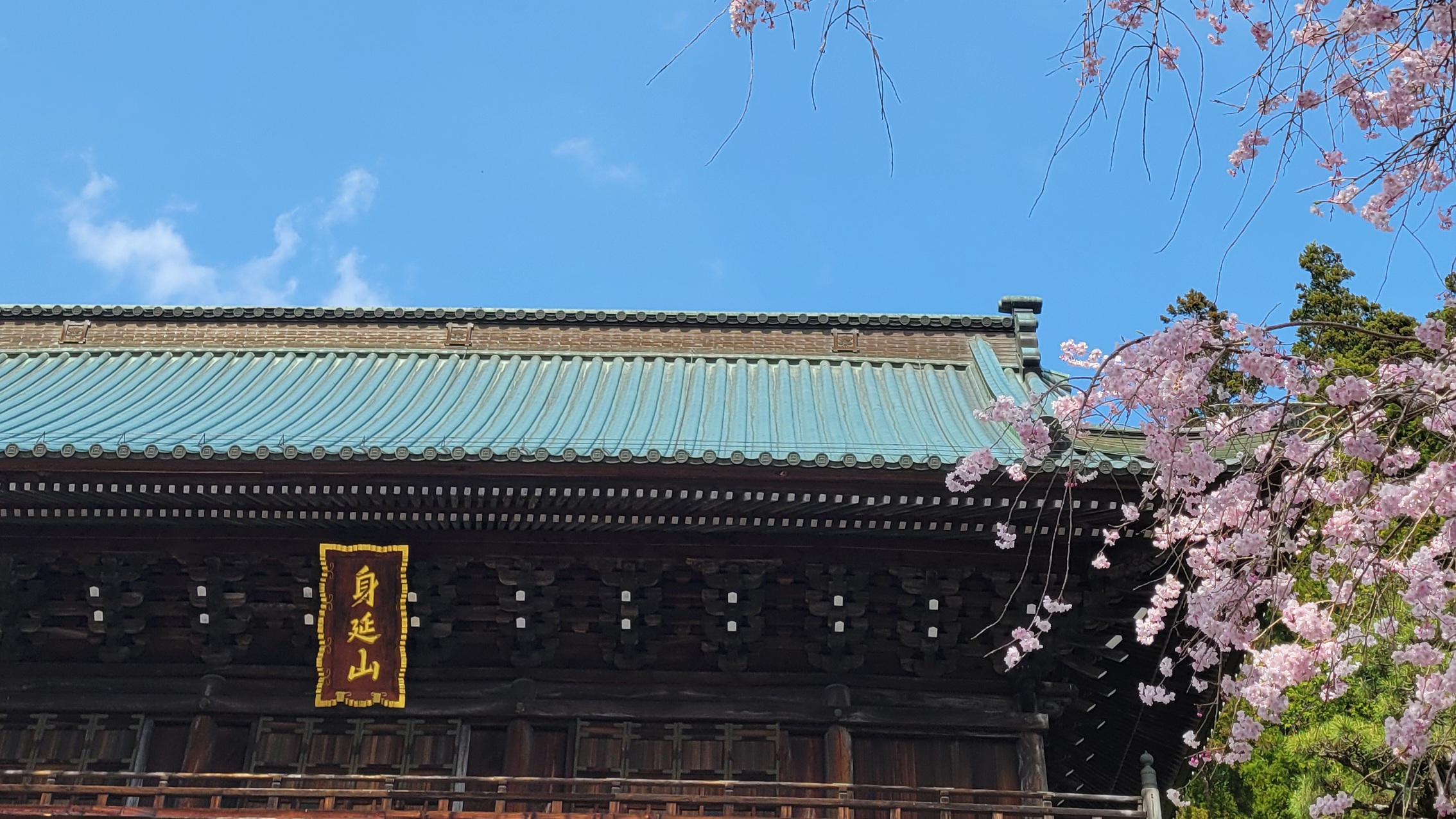 身延山久遠寺の桜｜歴史と春が重なる絶景撮影スポット