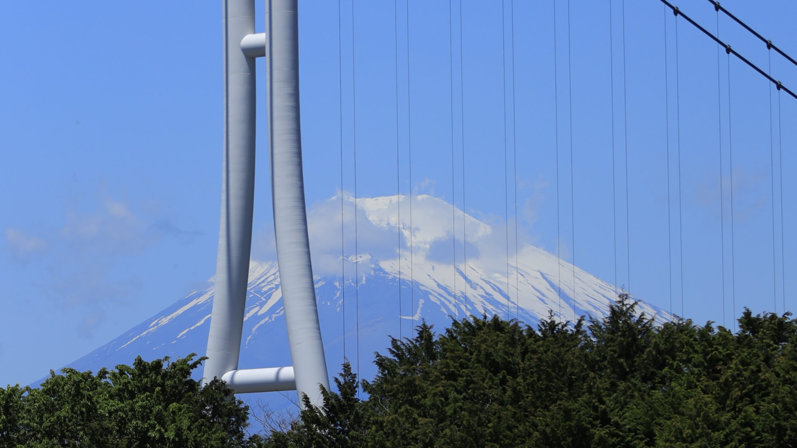 三島スカイウォーク｜富士山・駿河湾・箱根西麓を一望できる絶景撮影スポット