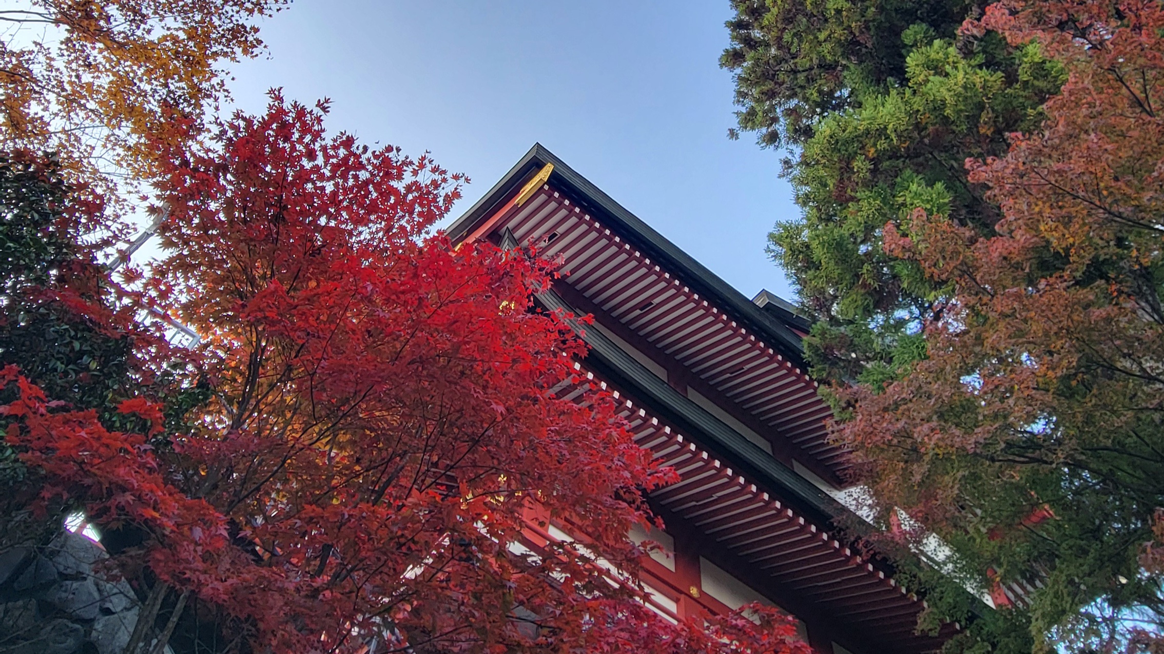 武蔵御嶽神社（御岳山）