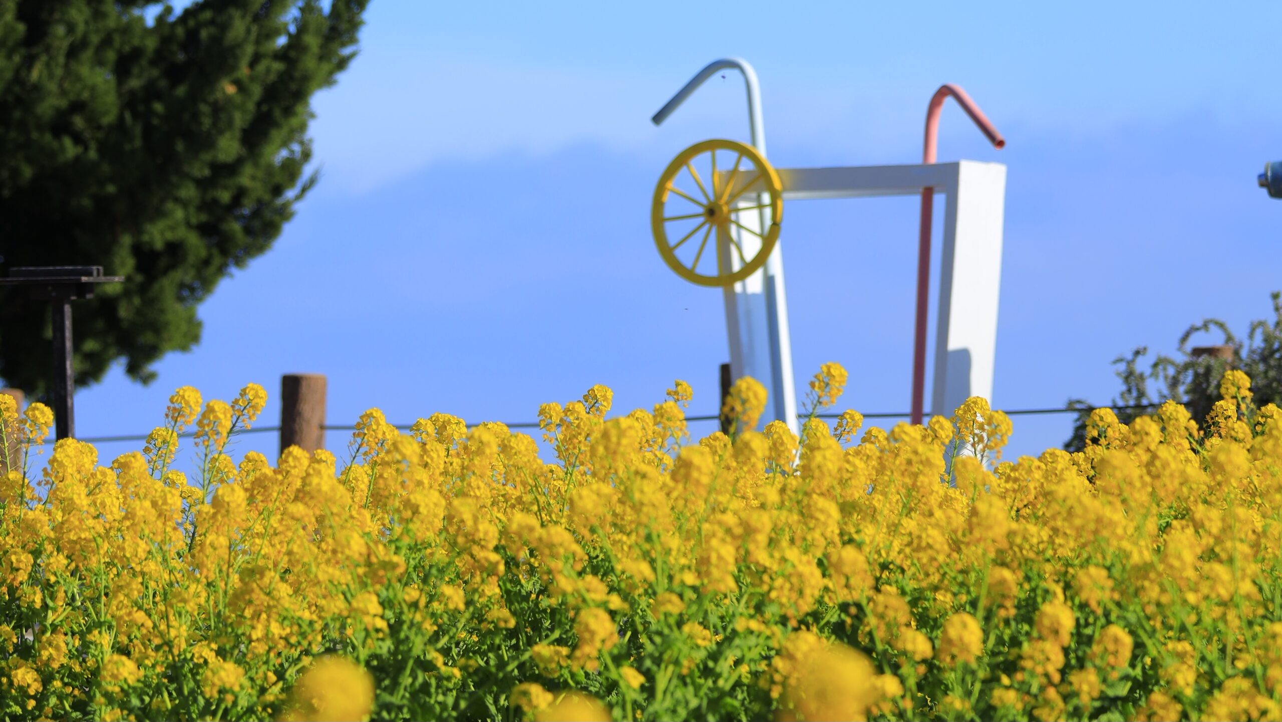 ニューヨークランプミュージアム＆フラワーガーデンの絶景