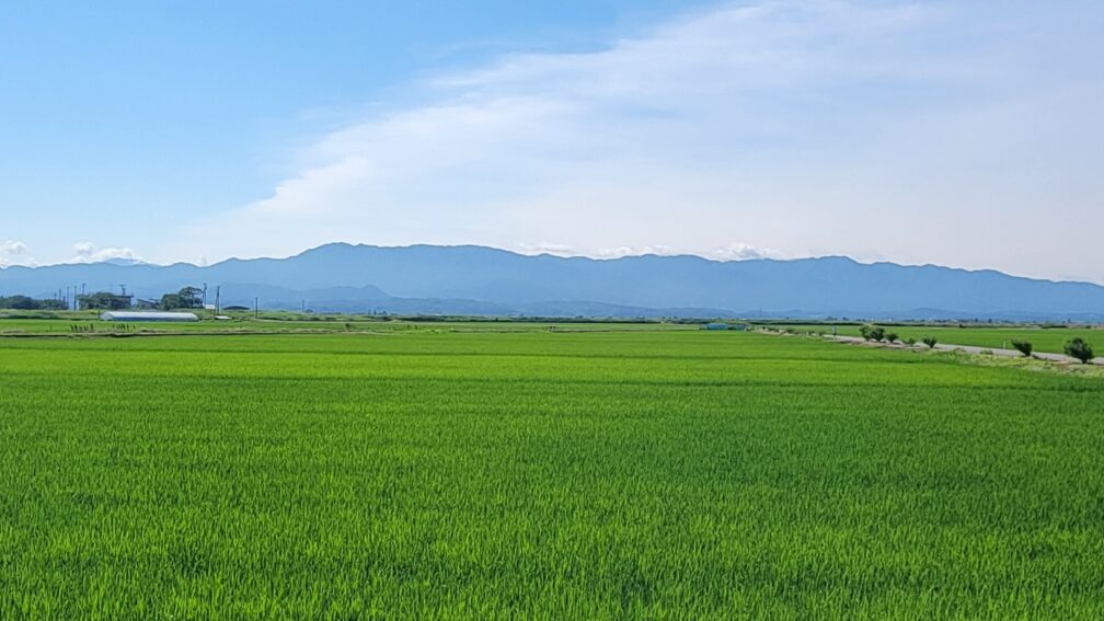 新潟県内