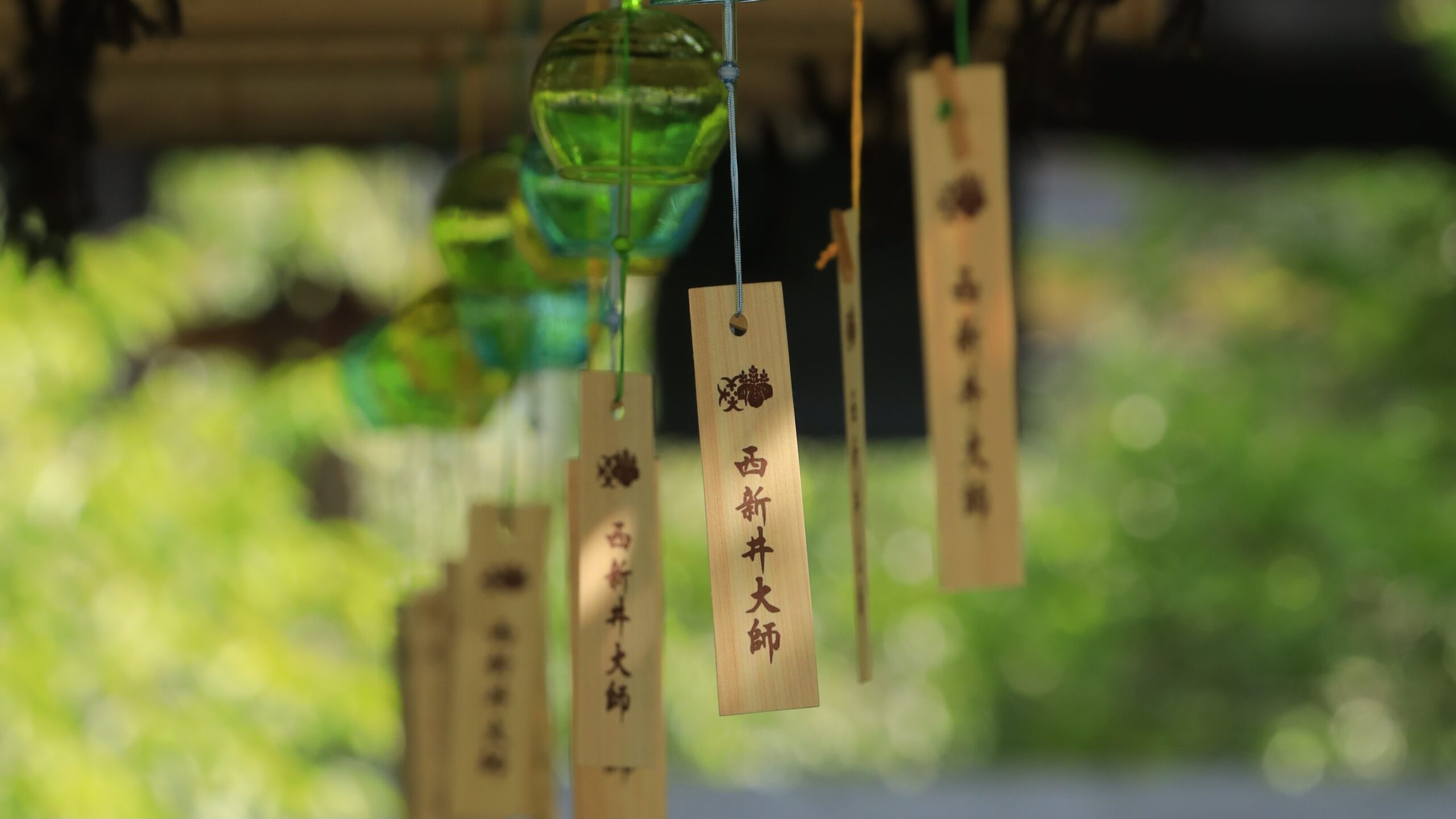 西新井大師の絶景