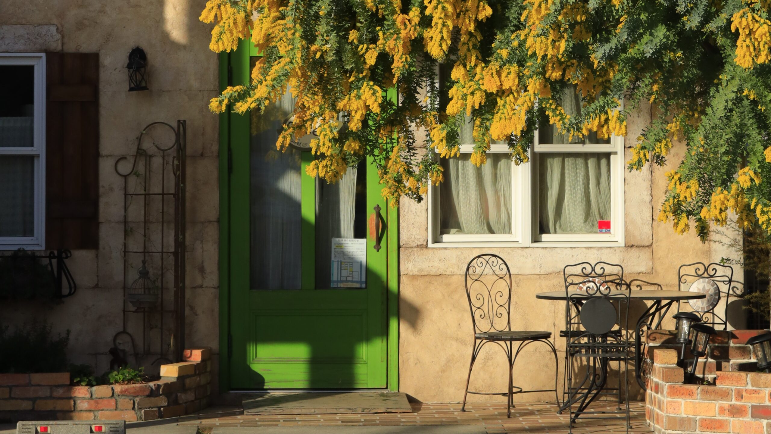 パティスリーナチュレルのミモザ｜お店とミモザの花を撮影できる春の写真スポット