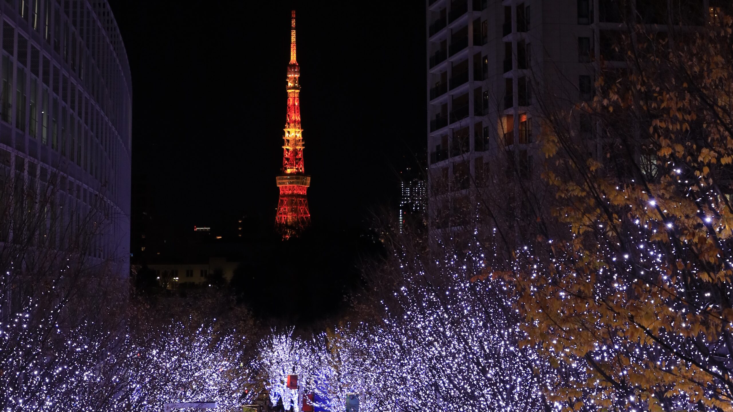 六本木けやき坂イルミネーション