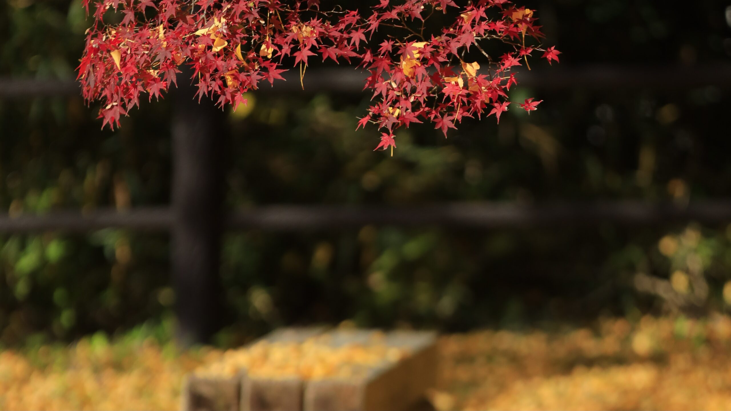 佐白山ろく公園（佐白山麓公園）