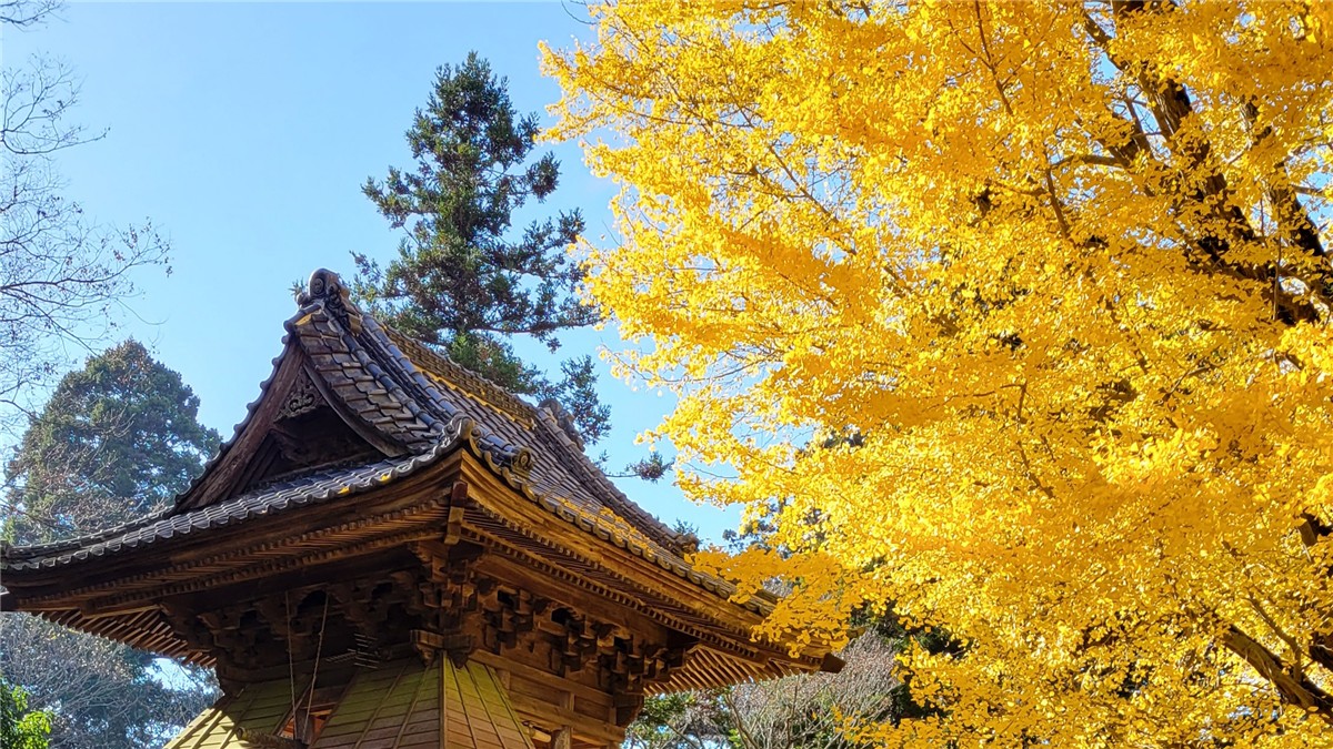 西蓮寺の絶景