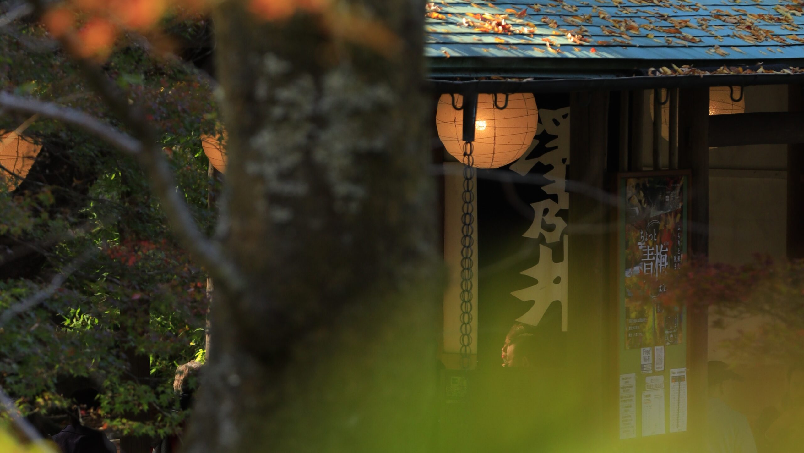 清流ガーデン澤乃井園