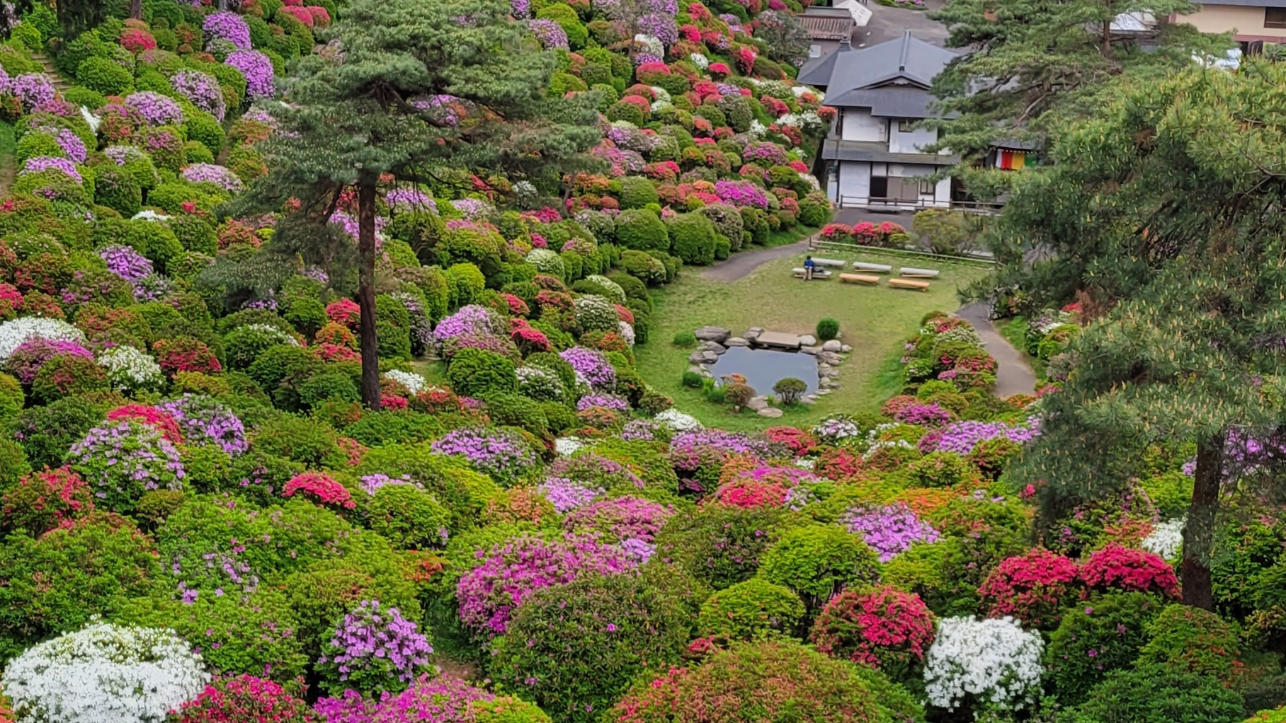 塩船観音寺