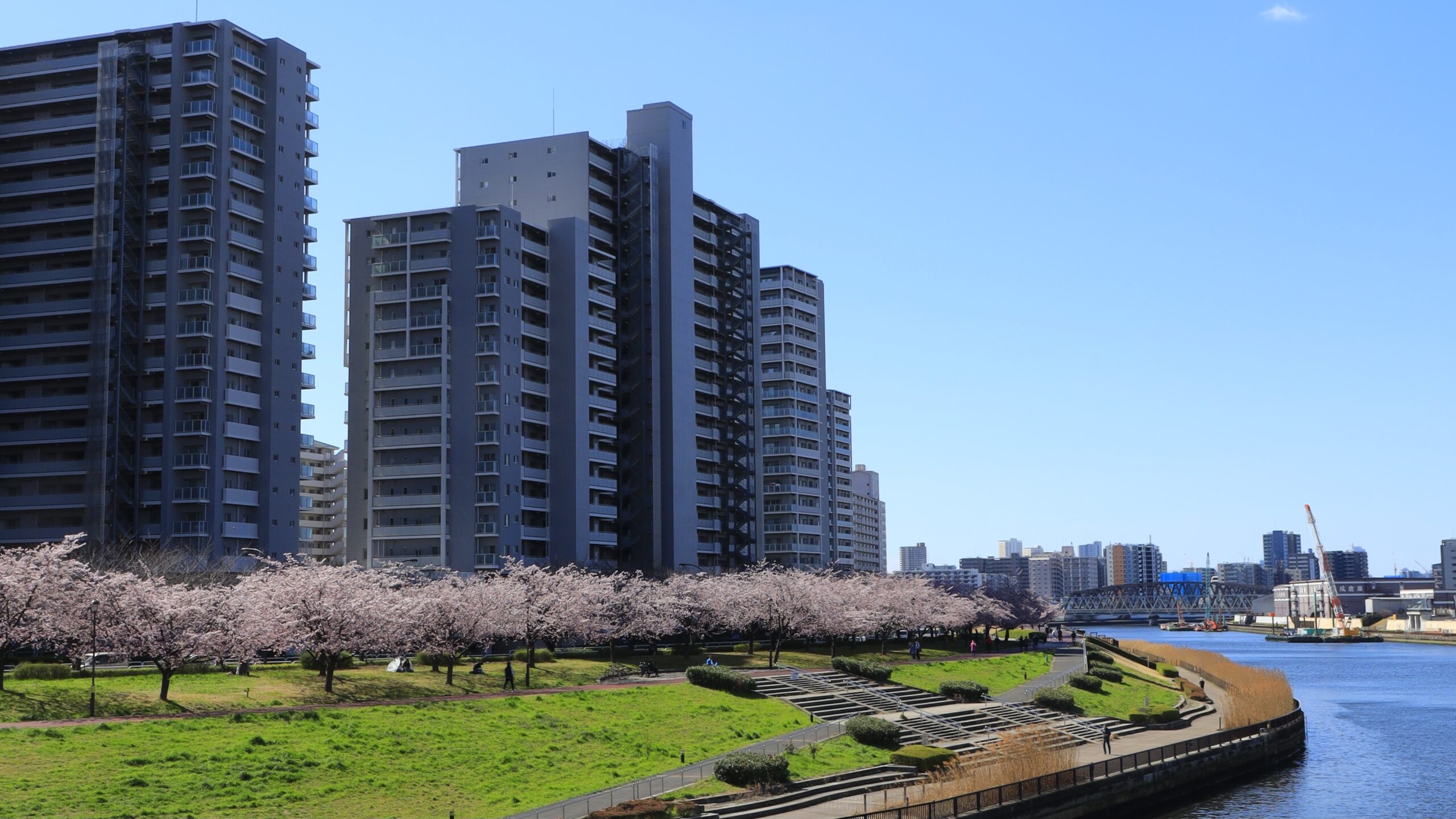 汐入公園（東京・荒川区）｜隅田川沿いの桜と東京スカイツリーが楽しめる穴場スポット