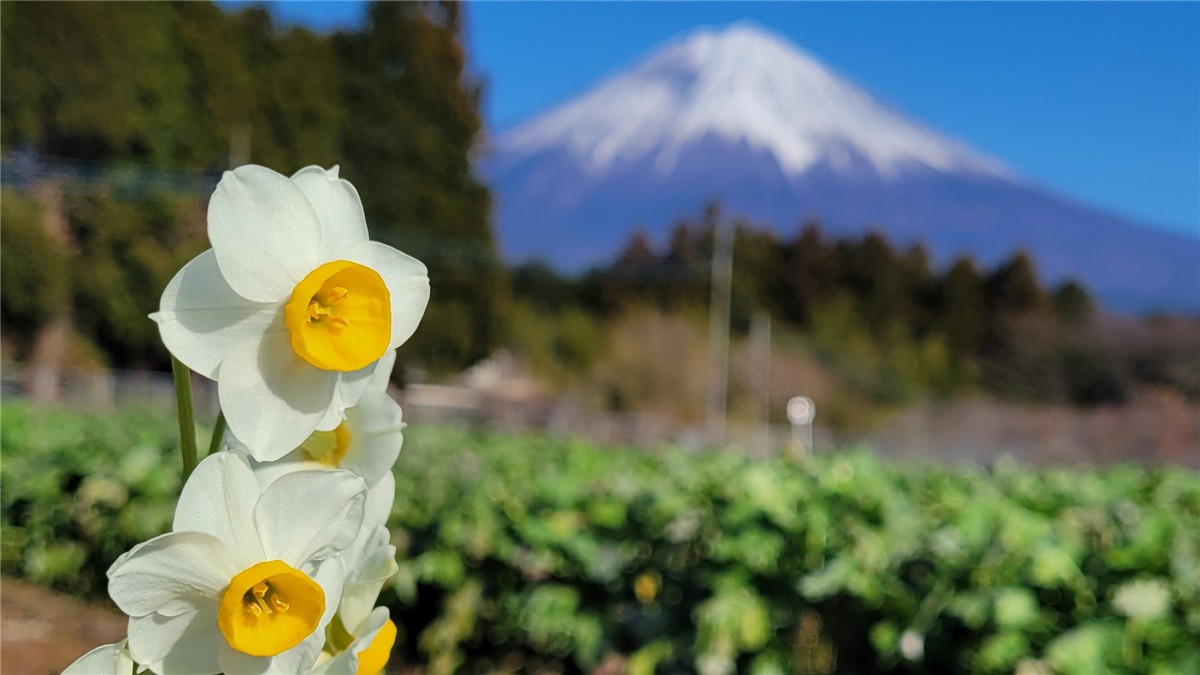 白糸の滝自然公園