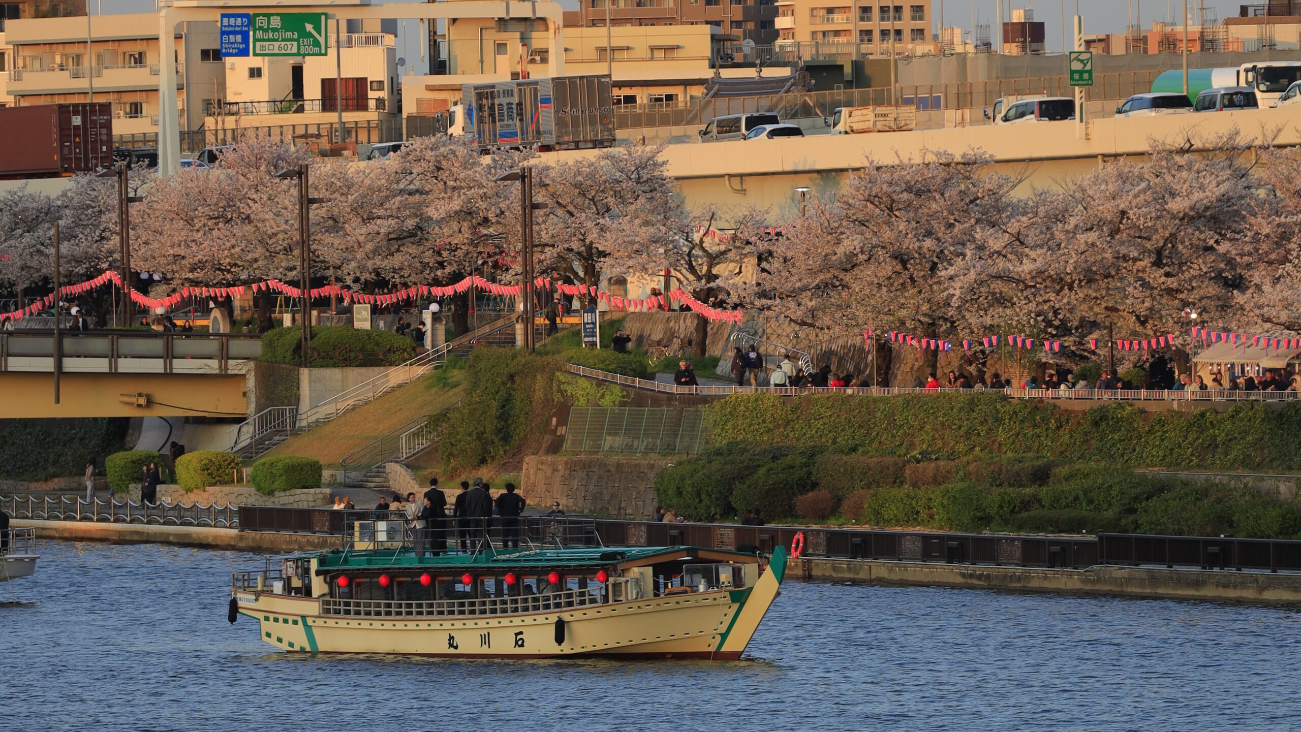 隅田川さくらまつりの桜｜夜桜・屋形船・スカイツリーを楽しむ