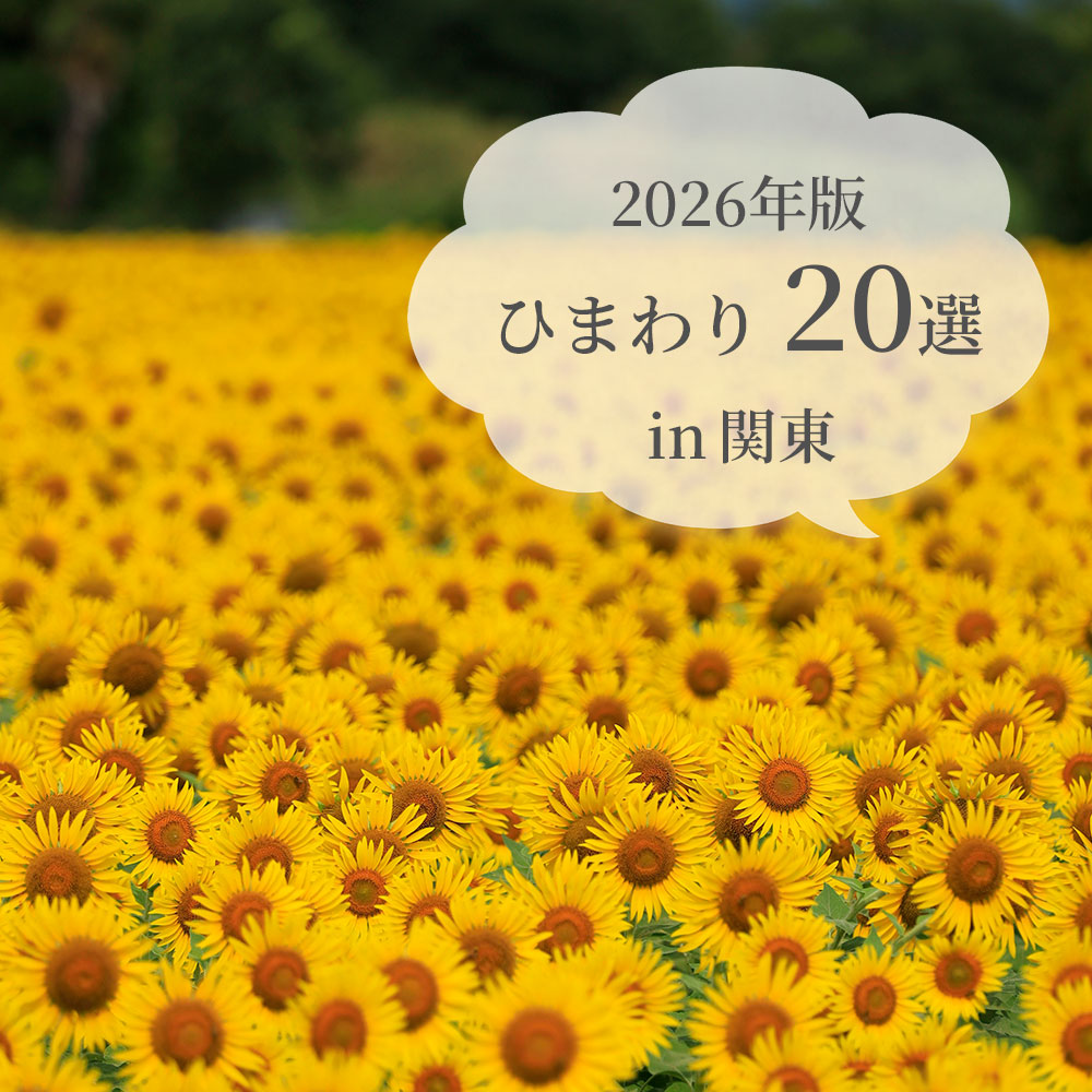 向日葵20選