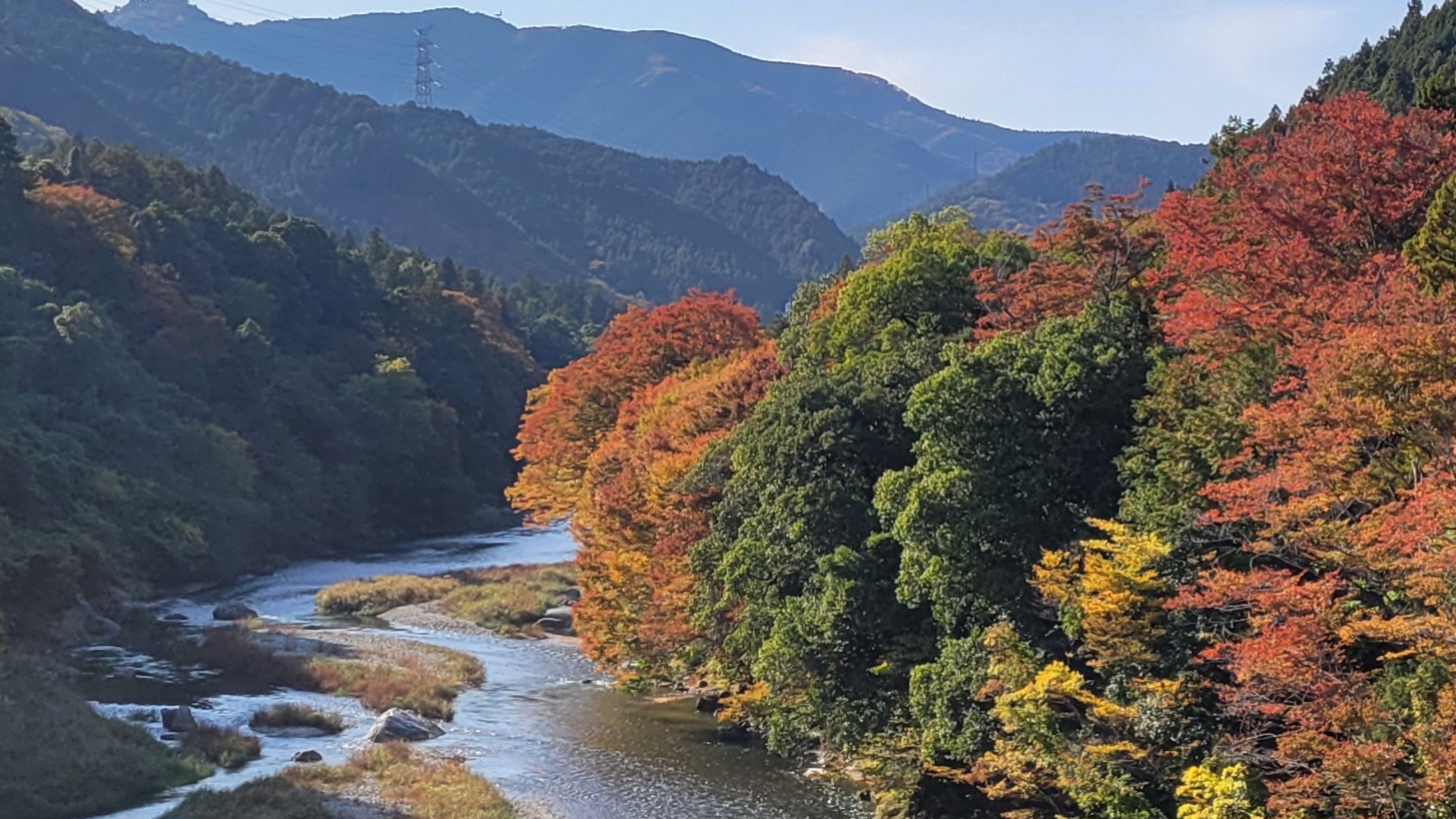 多摩川（青梅）