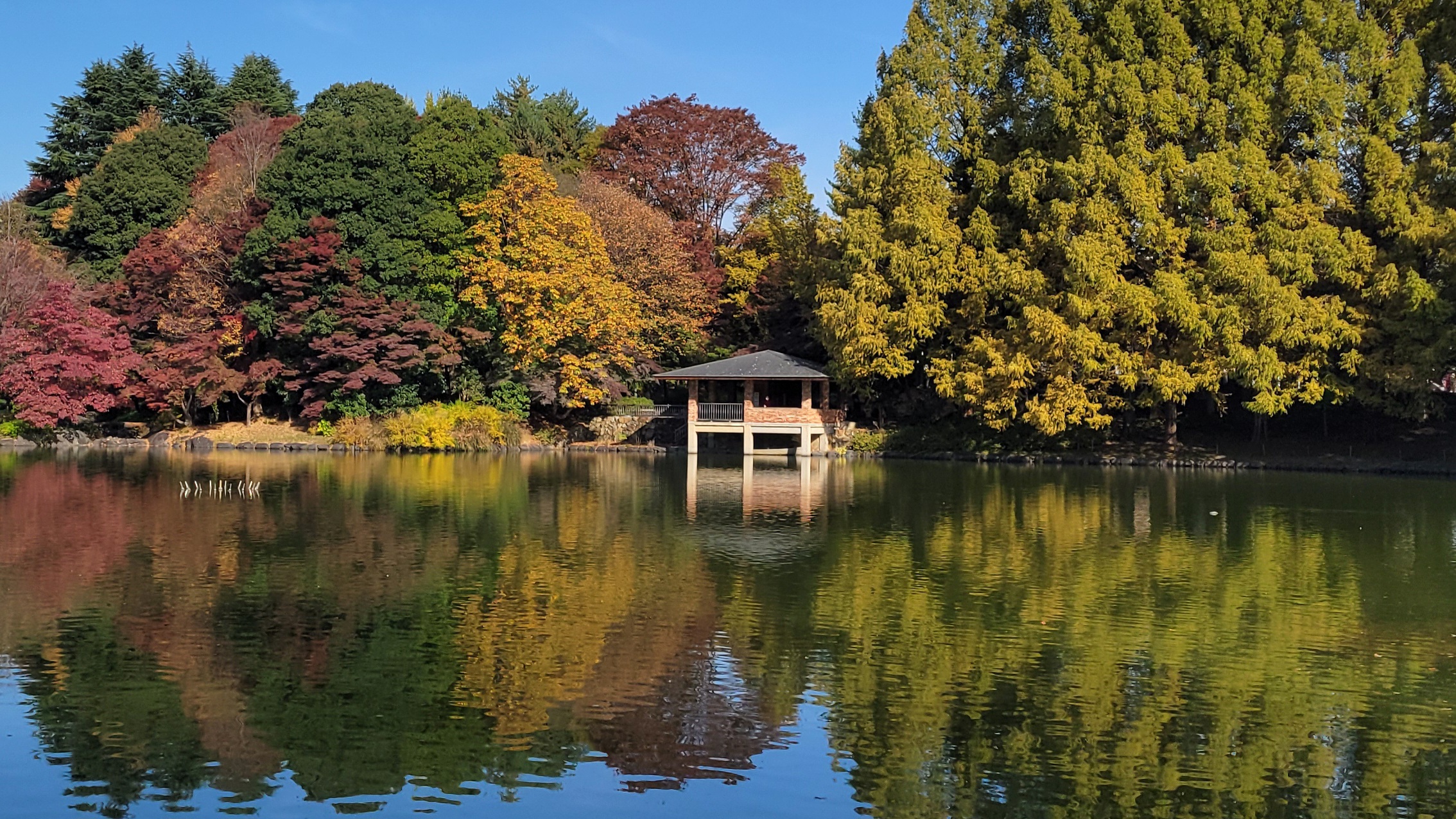 栃木県中央公園
